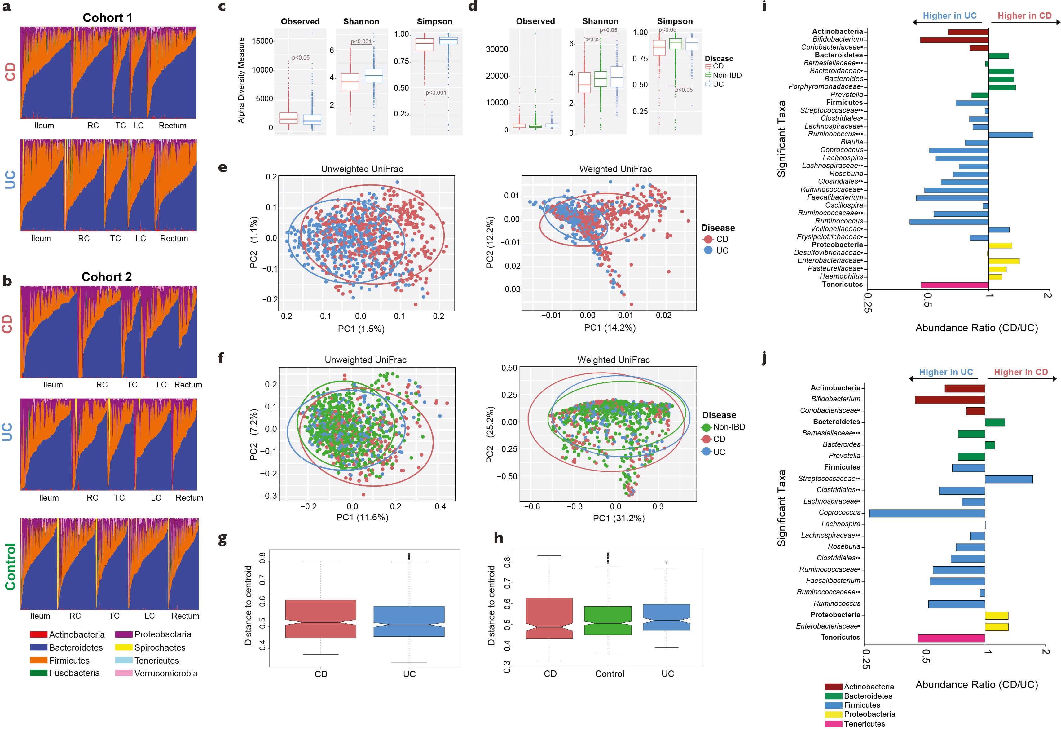Extended Data Fig. 3: The dominant bacterial phyla along the gastrointestinal tract of IBD patients and dysbiosis in IBD patients.