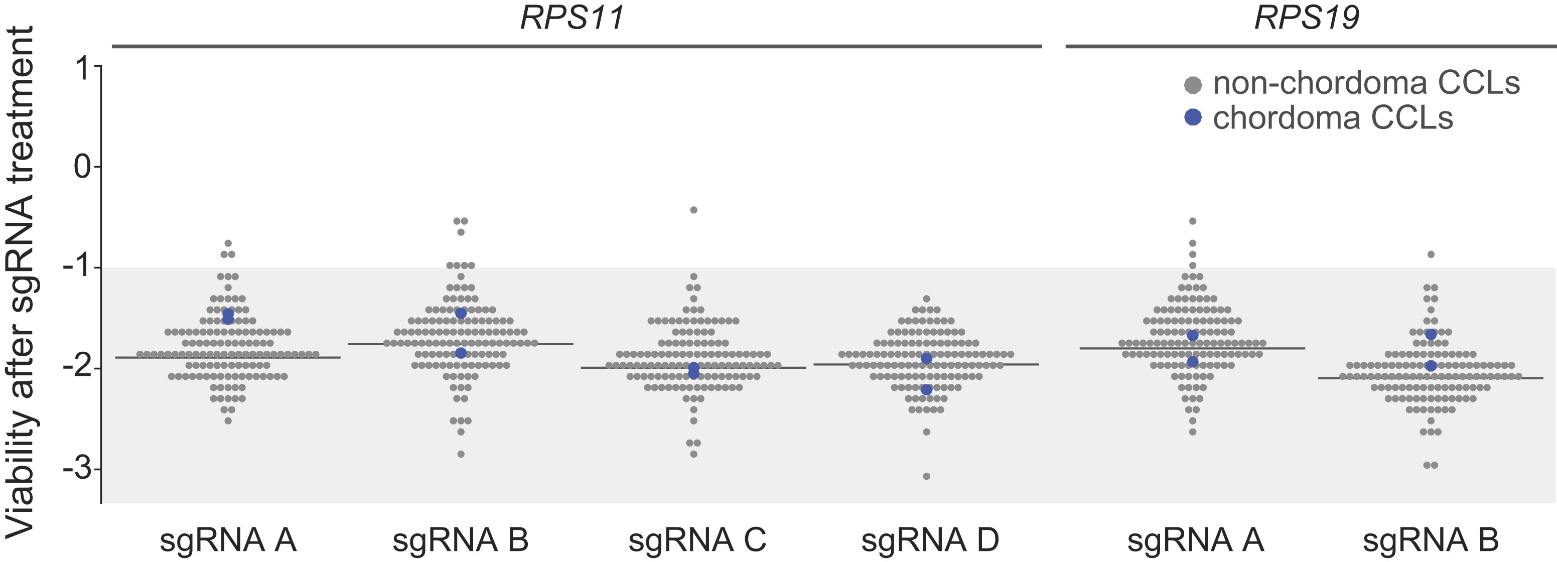 Extended Data Fig. 1: Dependency scores for sgRNAs targeting commonly essential genes.