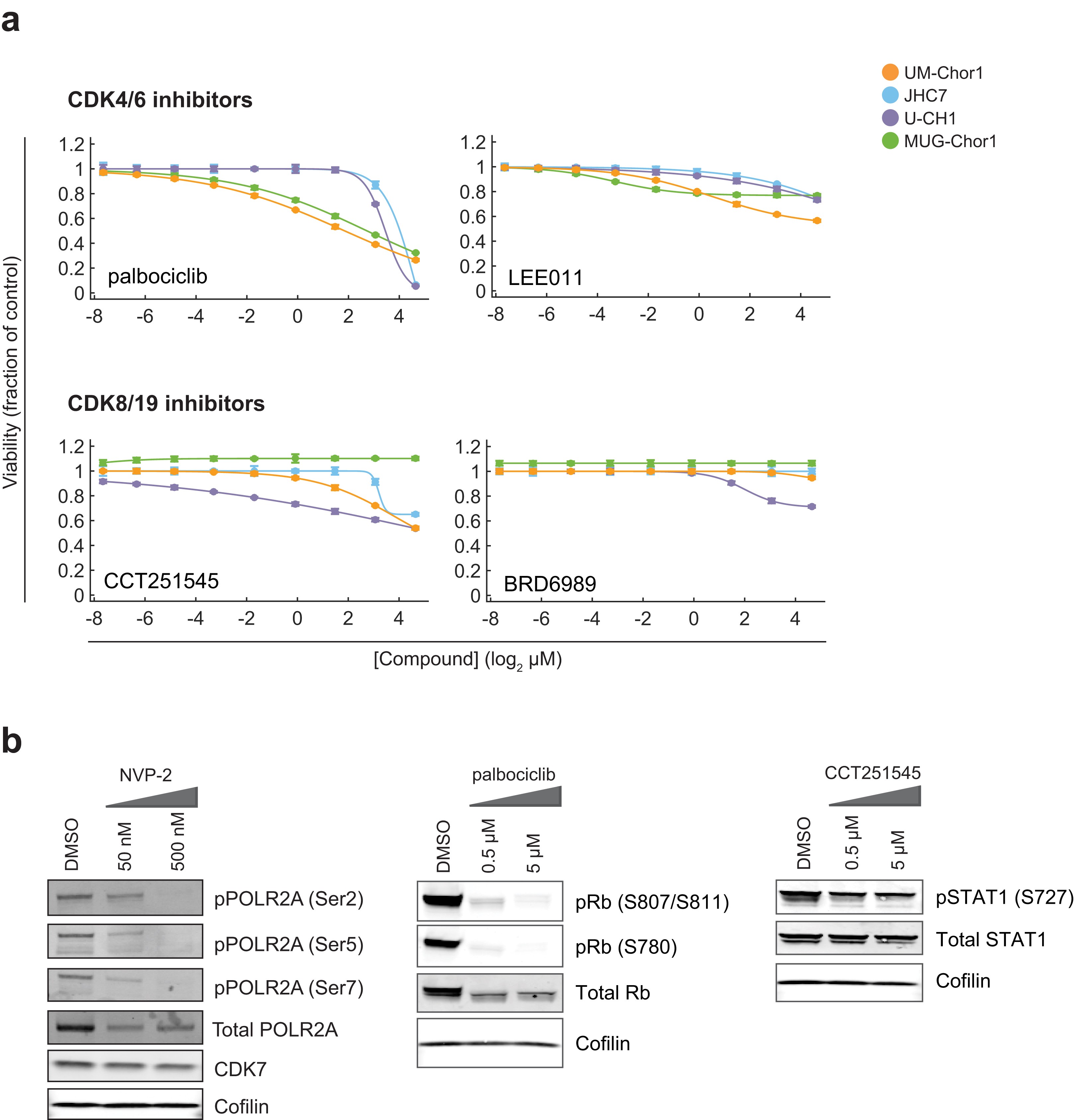Extended Data Fig. 3: Chordoma cells are less sensitive to CDK4/6 and CDK8/19 inhibitors.