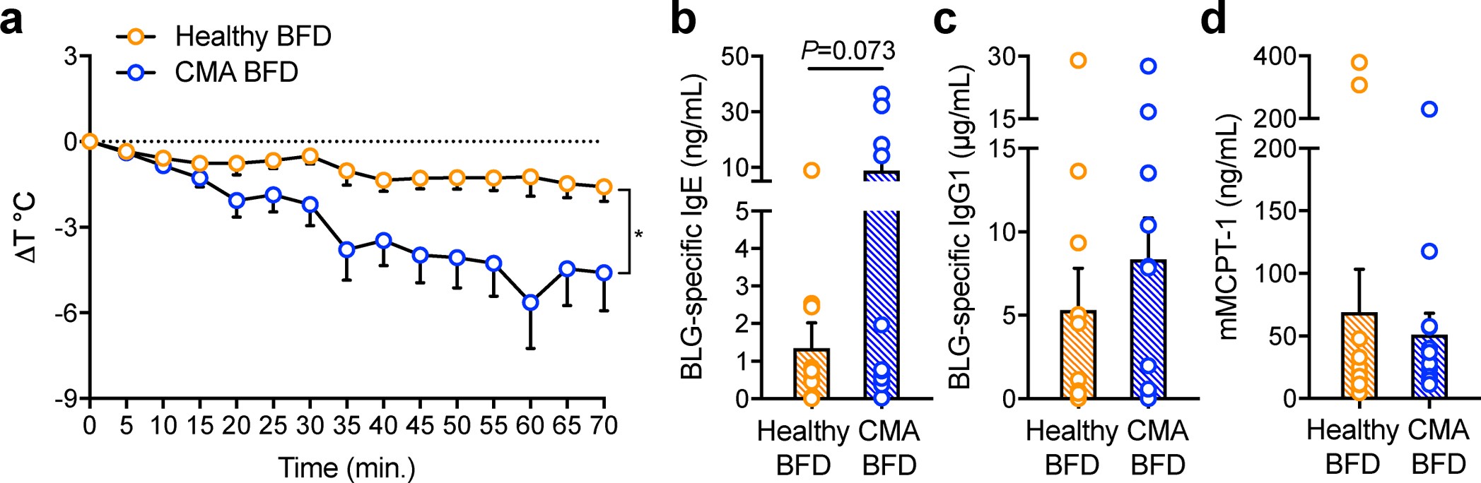 Extended Data Fig. 4: Transfer of a healthy, exclusively breast-fed infant microbiota protects against an anaphylactic response to sensitization with BLG plus  cholera toxin.
