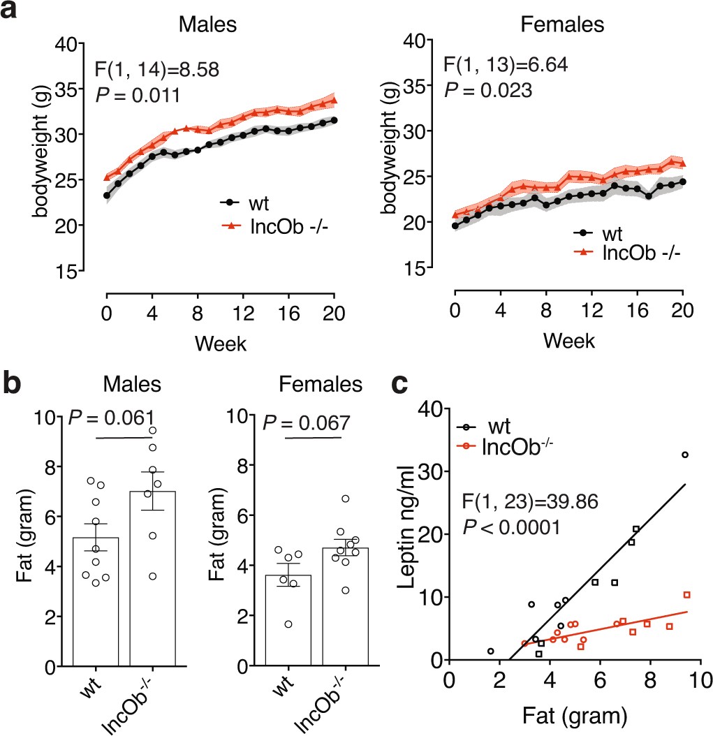 Extended Data Fig. 6