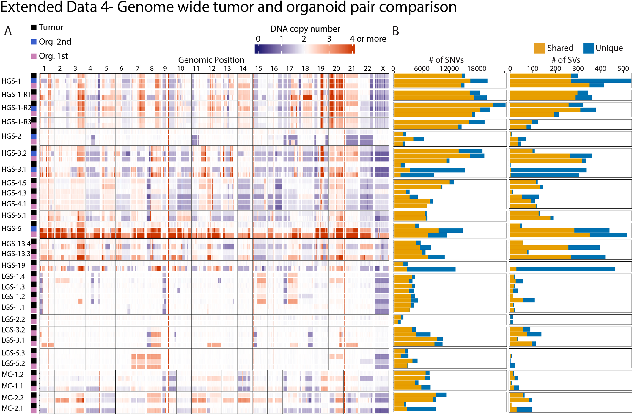Extended Data Fig. 4: Genome-wide tumor and organoid pair comparison.