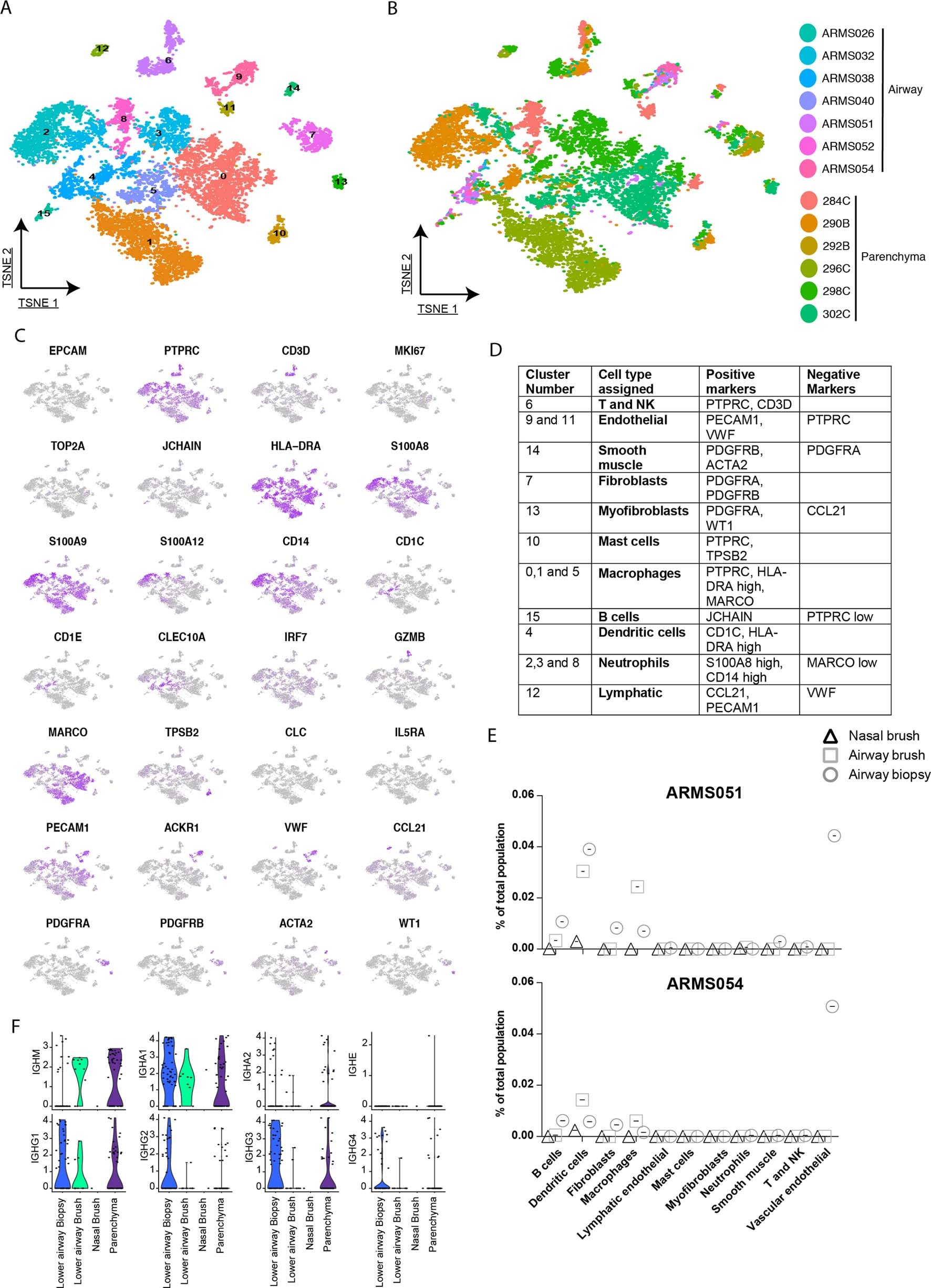 Extended Data Fig. 5: Cell-type assignment strategy for the assignment of non-epithelial cells discussed in Fig. 2.