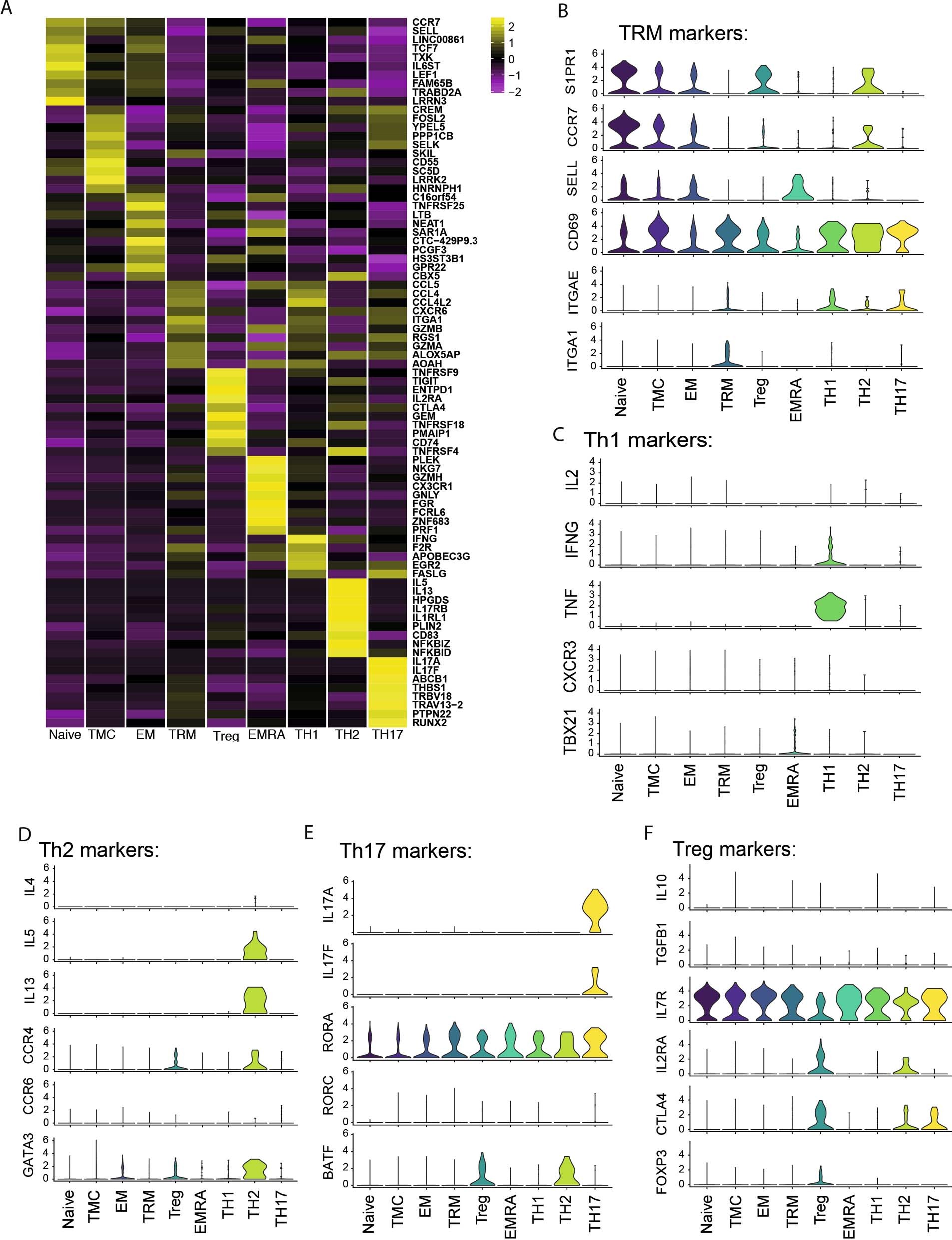Extended Data Fig. 10: Canonical T cell markers expression in TH CD4 clusters.