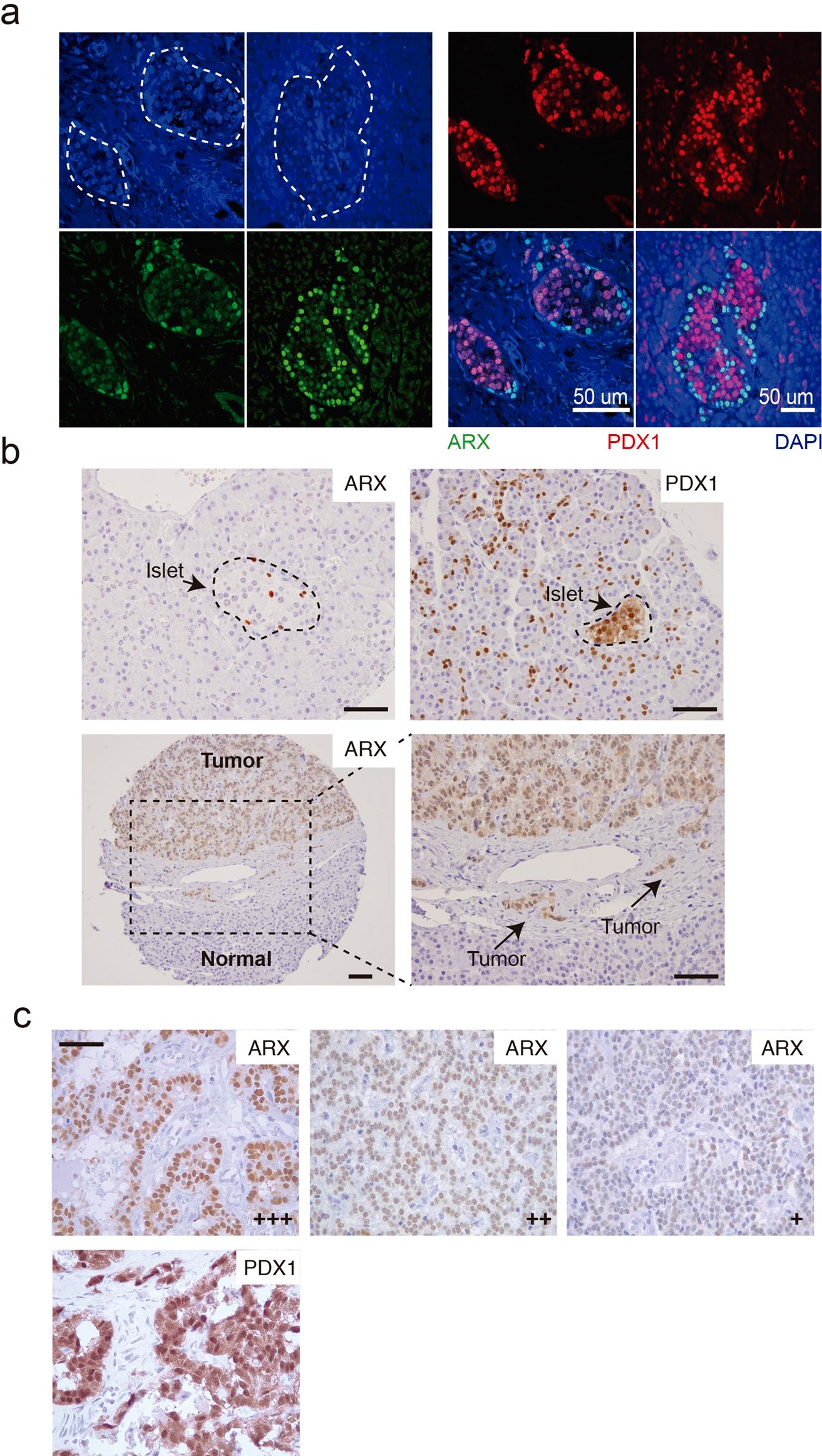 Extended Data Fig. 2