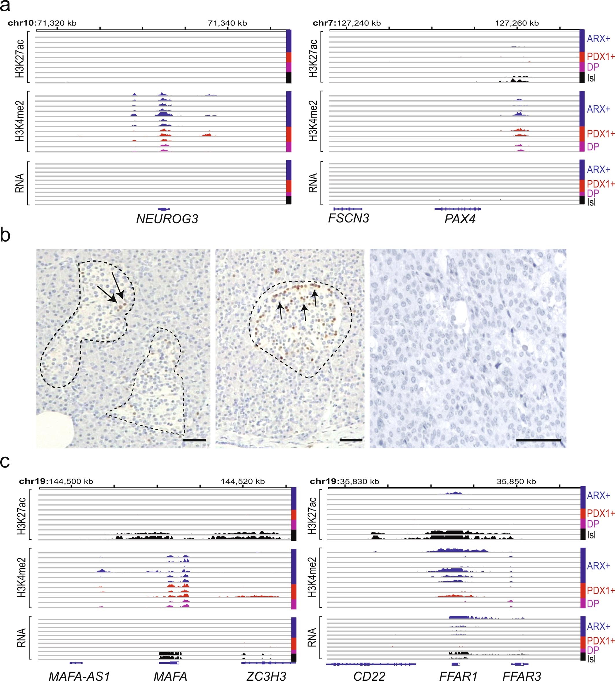 Extended Data Fig. 4