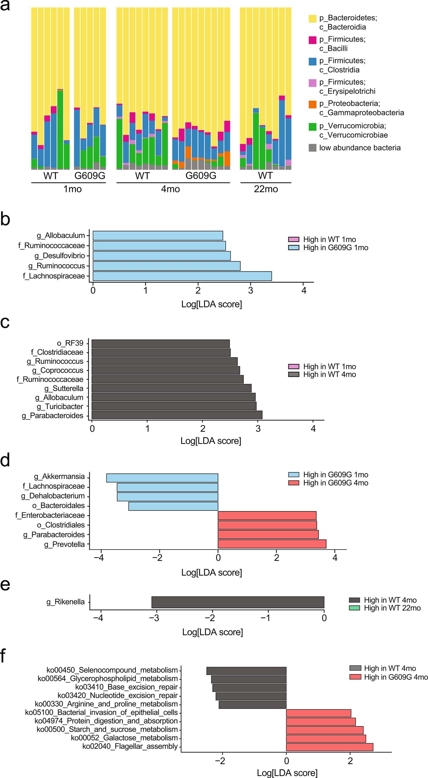Extended Data Fig. 2: Statistically significant differences in the gut microbiome of LmnaG609G/G609G versus wild-type (WT) mice at different ages.
