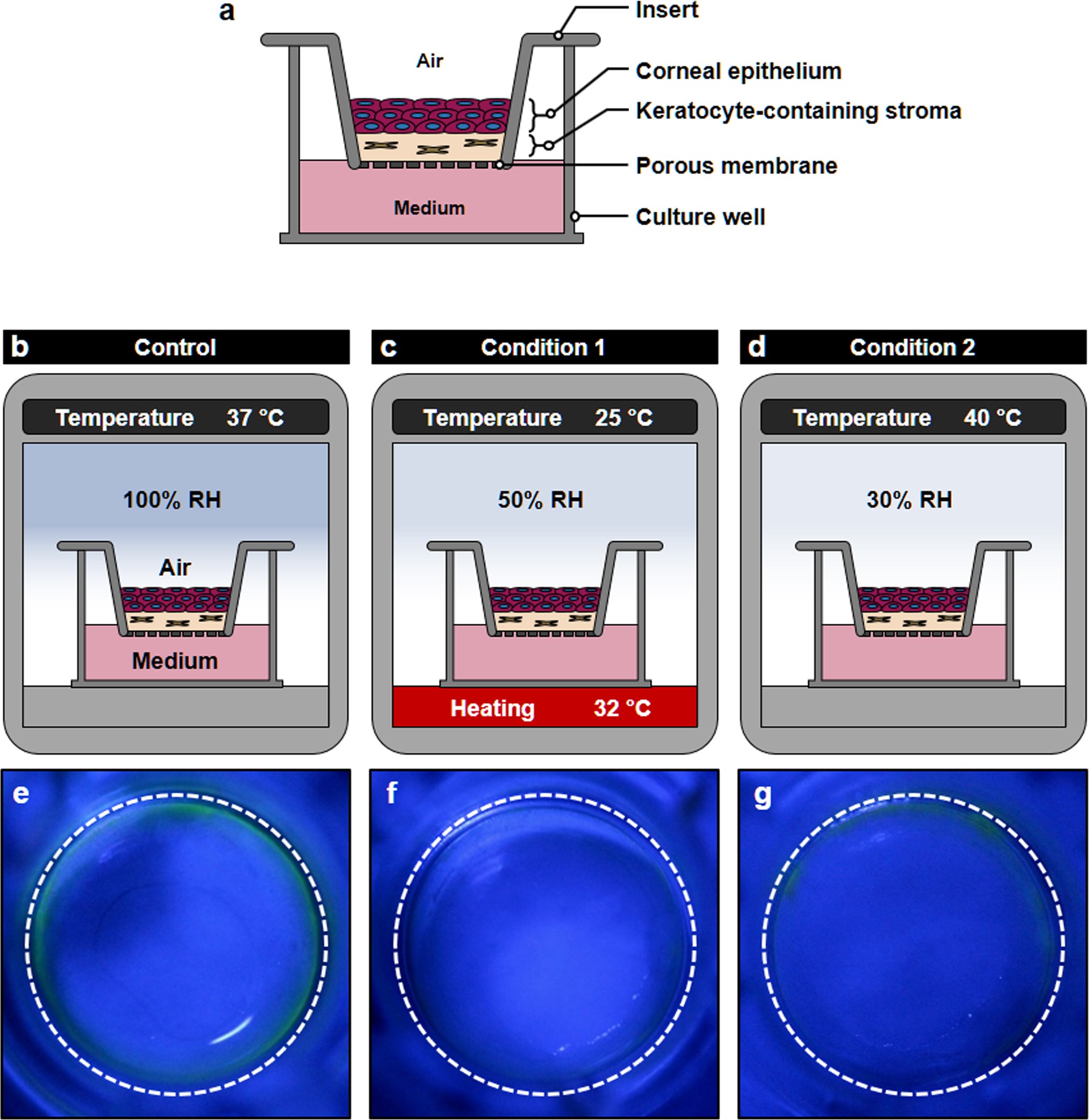 Extended Data Fig. 2