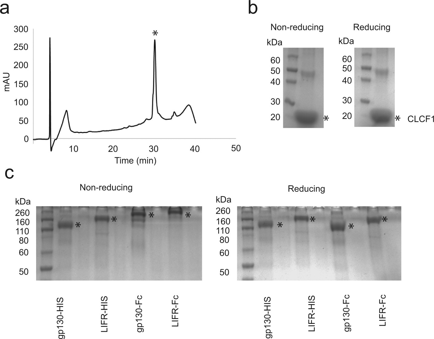 Extended Data Fig. 3: Recombinant production of CLCF1 and soluble β-receptors.
