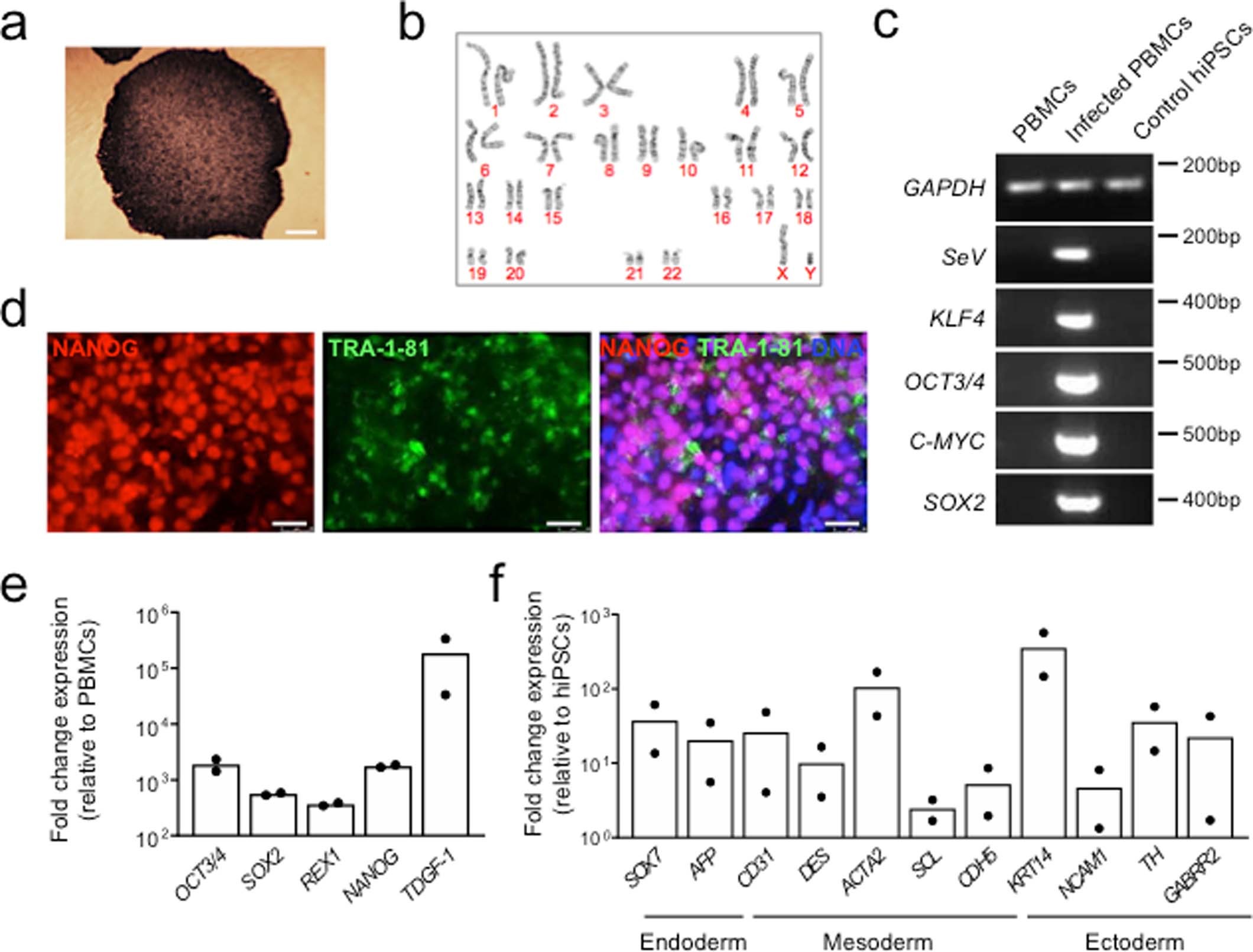 Extended Data Fig. 7