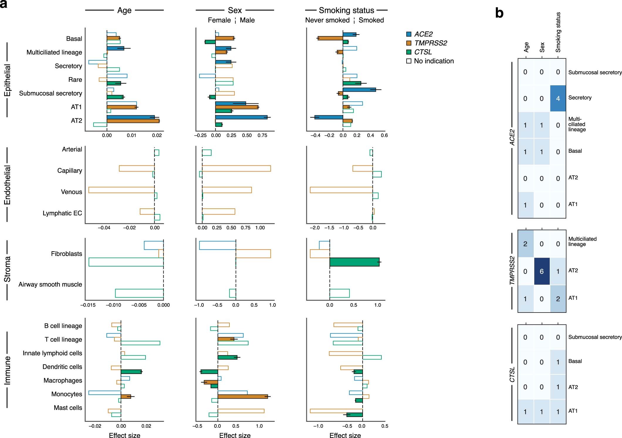 Extended Data Fig. 9: Age, sex, and smoking status associations with expression of ACE2, TMPRSS2, and CTSL across level 3 cell type annotations modeled without interaction terms.