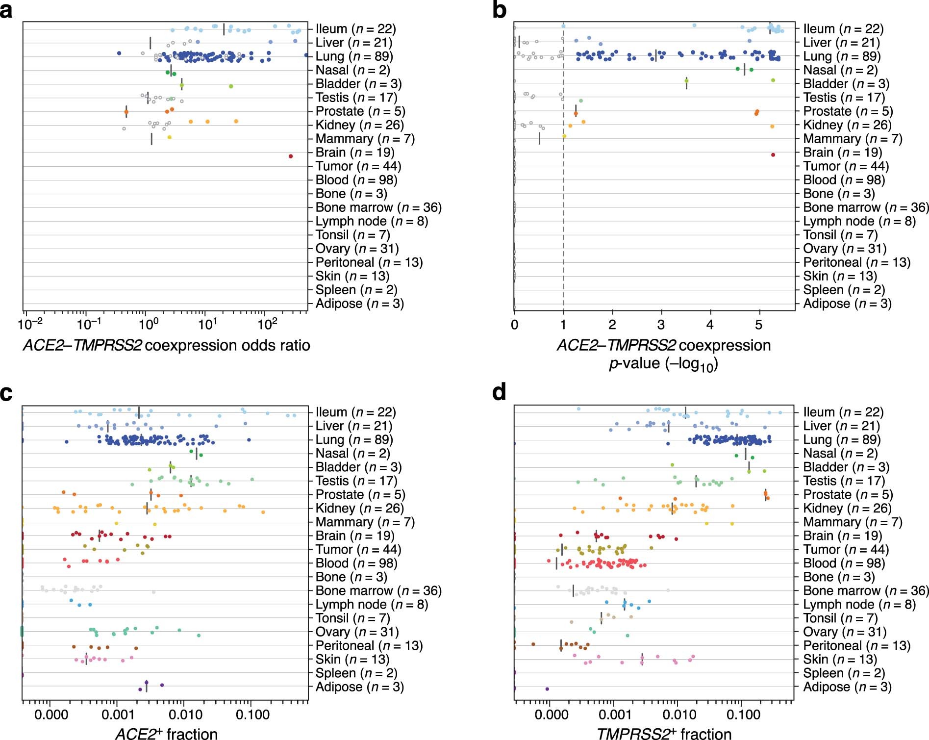 Extended Data Fig. 1: A cross-tissue survey of ACE2+TMPRSS2+ cells in published single-cell datasets.