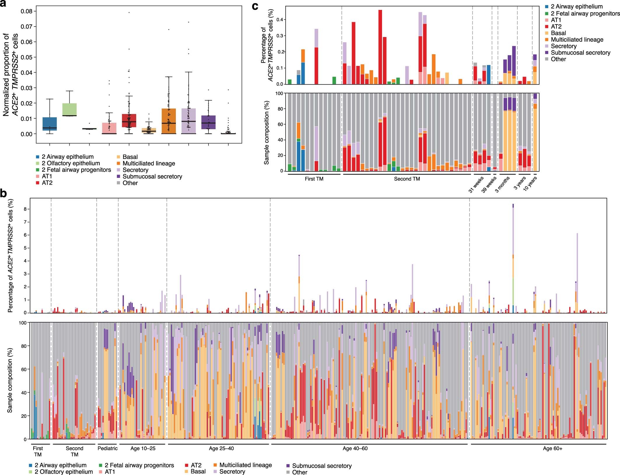 Extended Data Fig. 3: Cellular composition and fraction of ACE2+TMPRSS2+ cells across the aggregated lung dataset.