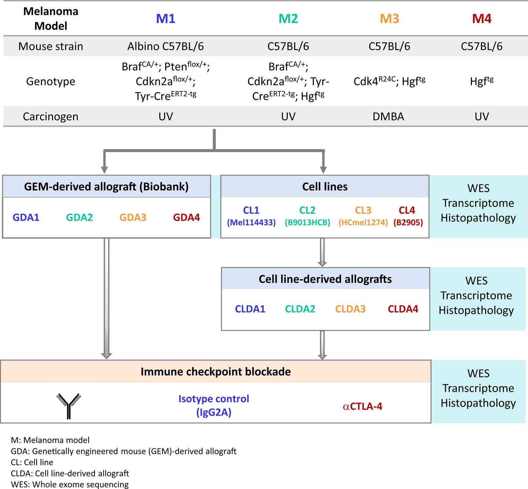 Extended Data Fig. 1