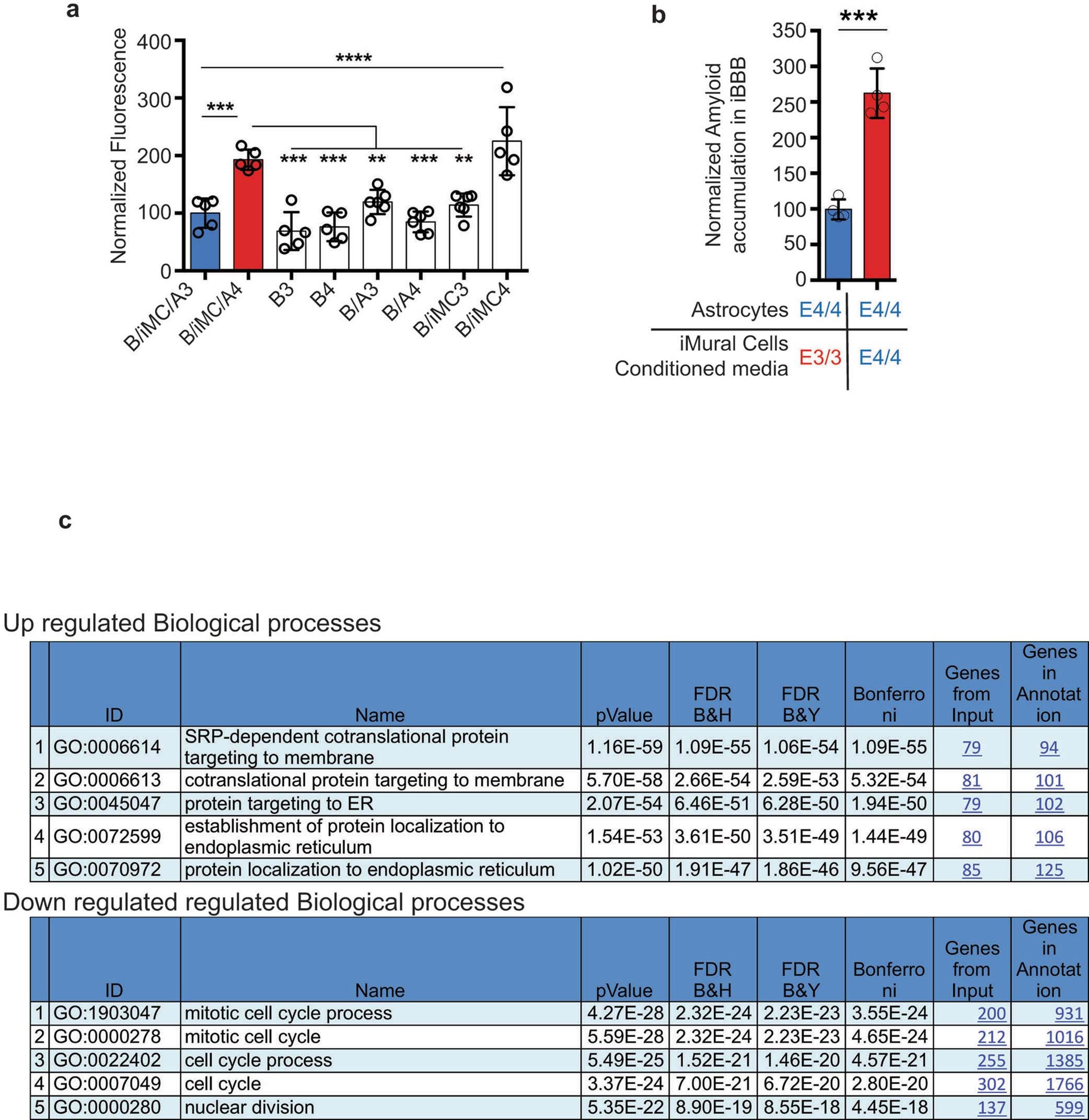Extended Data Fig. 4: APOE4 Pericytes Increase CAA pathology in iBBB.