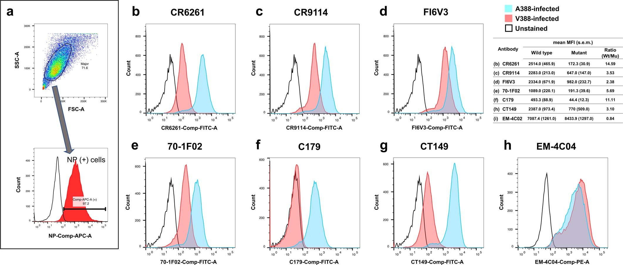Extended Data Fig. 3: A significant conformational change to the HA stalk region induced by A388V mutation.