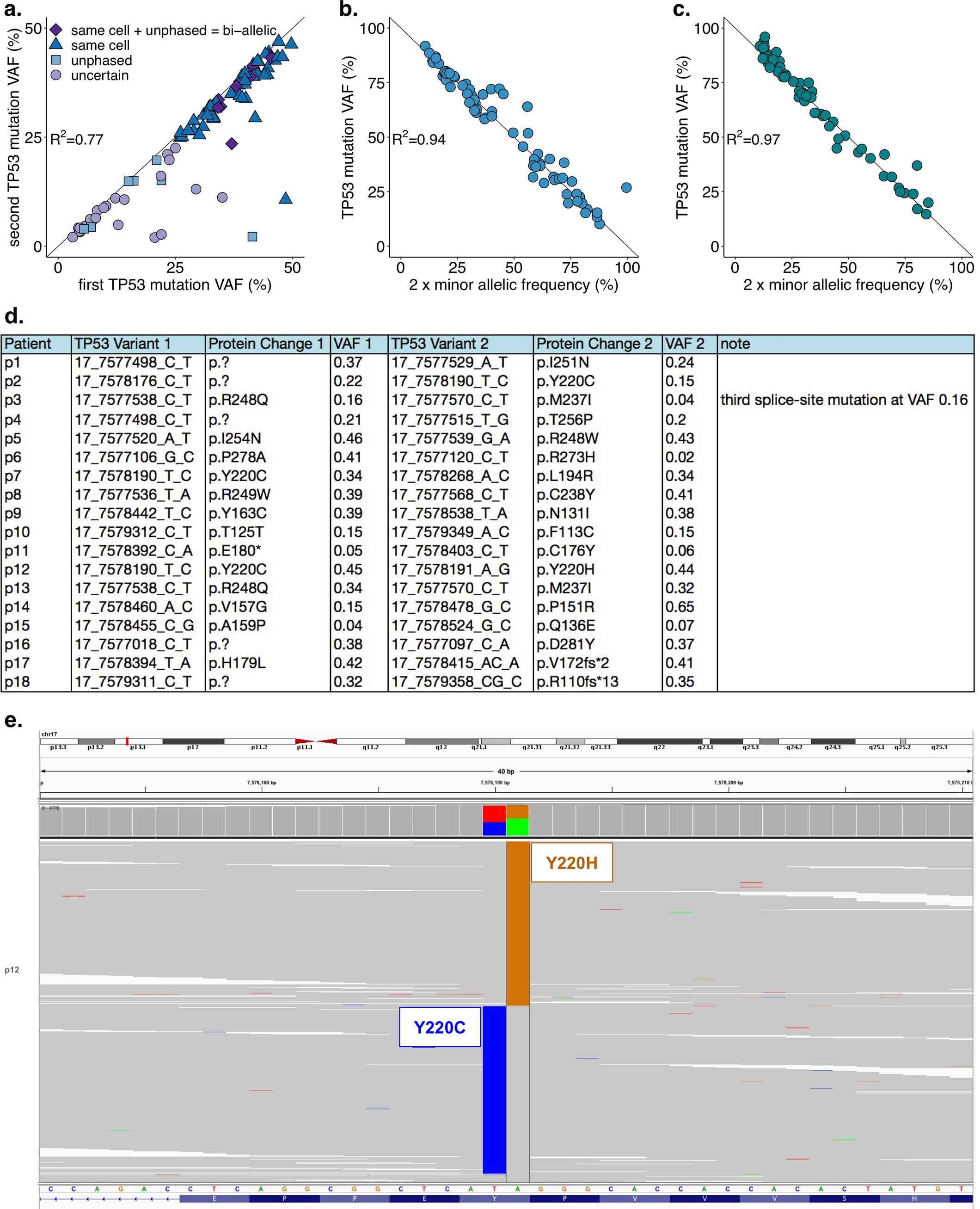 Extended Data Fig. 4: Evidence of biallelic TP53 targeting in the cases with multiple TP53 hits.