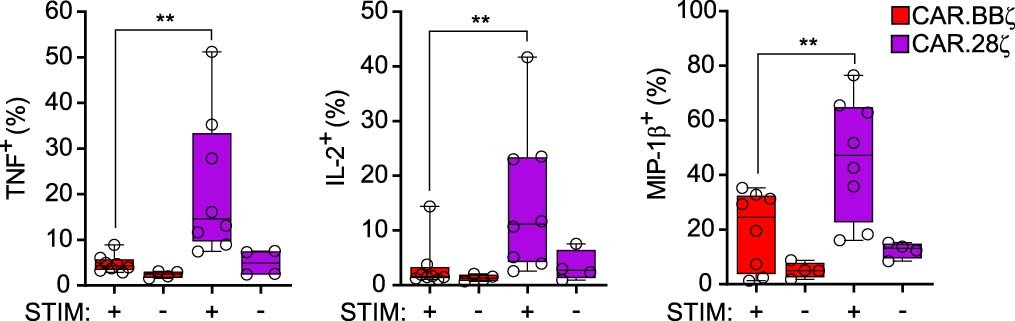 Extended Data Fig. 1
