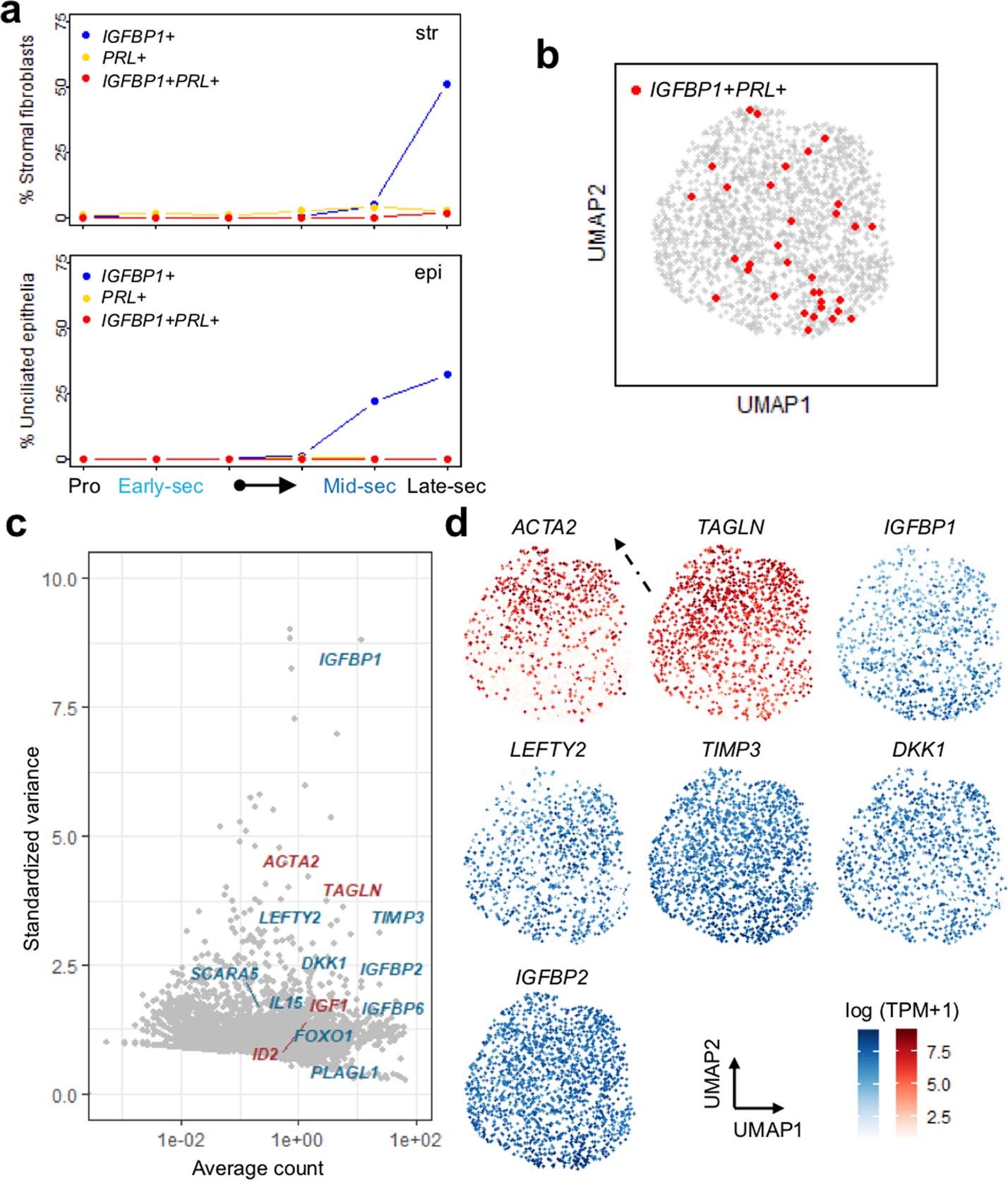 Extended Data Fig. 8: Expression of genes that define human early-pregnant endometrial stromal fibroblast subtypes.