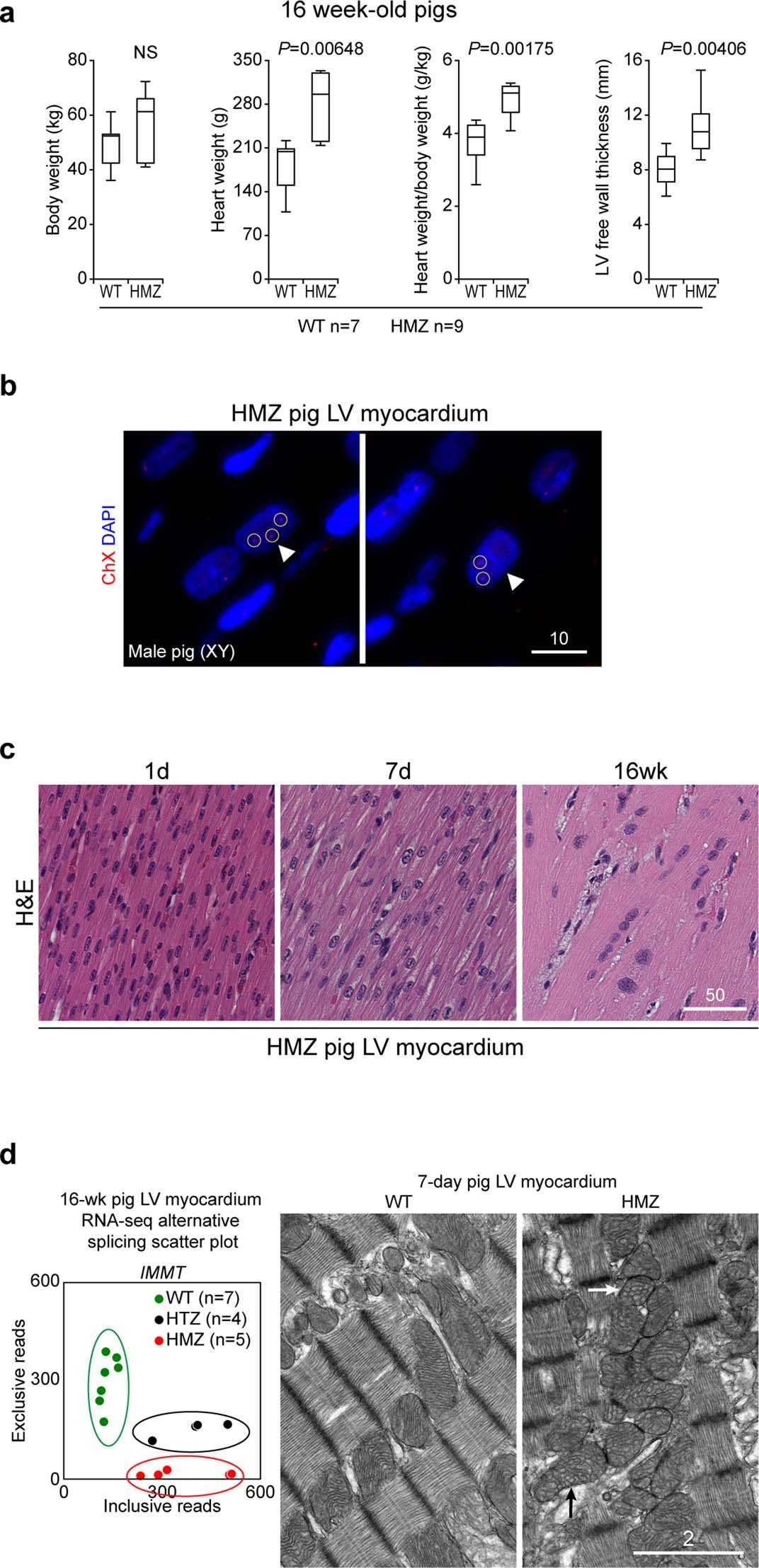 Extended Data Fig. 4