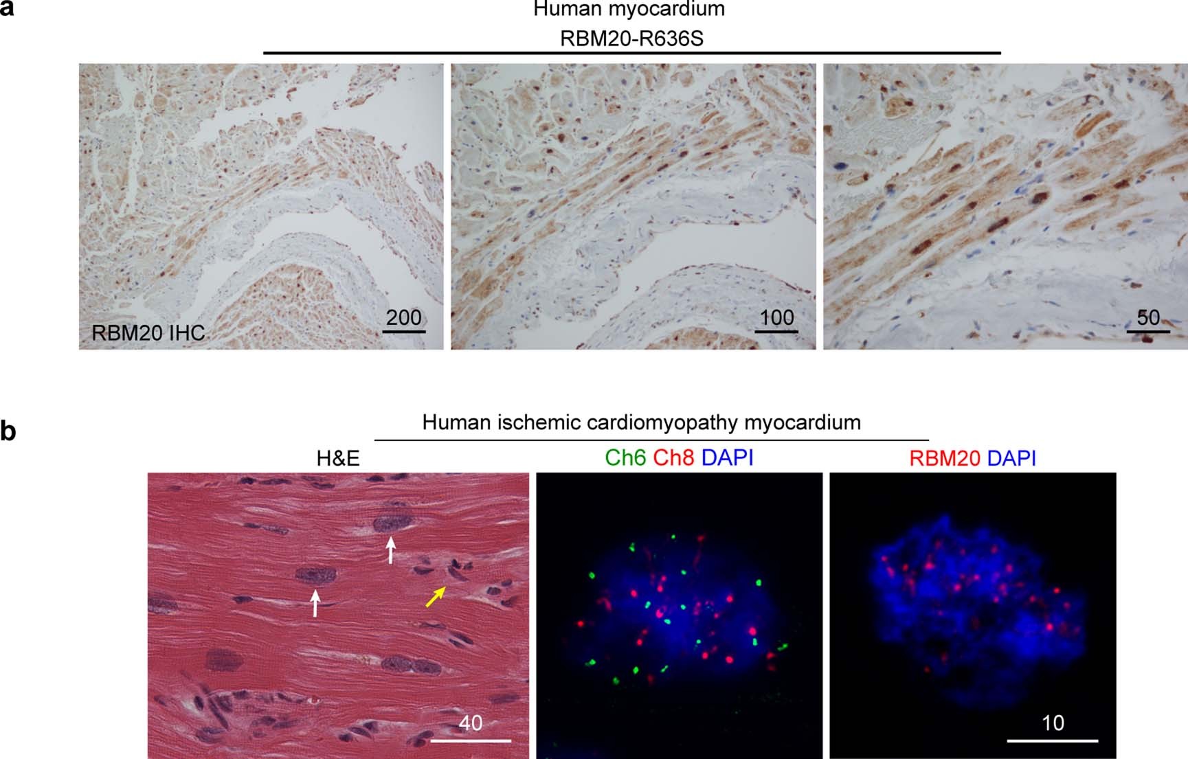 Extended Data Fig. 5
