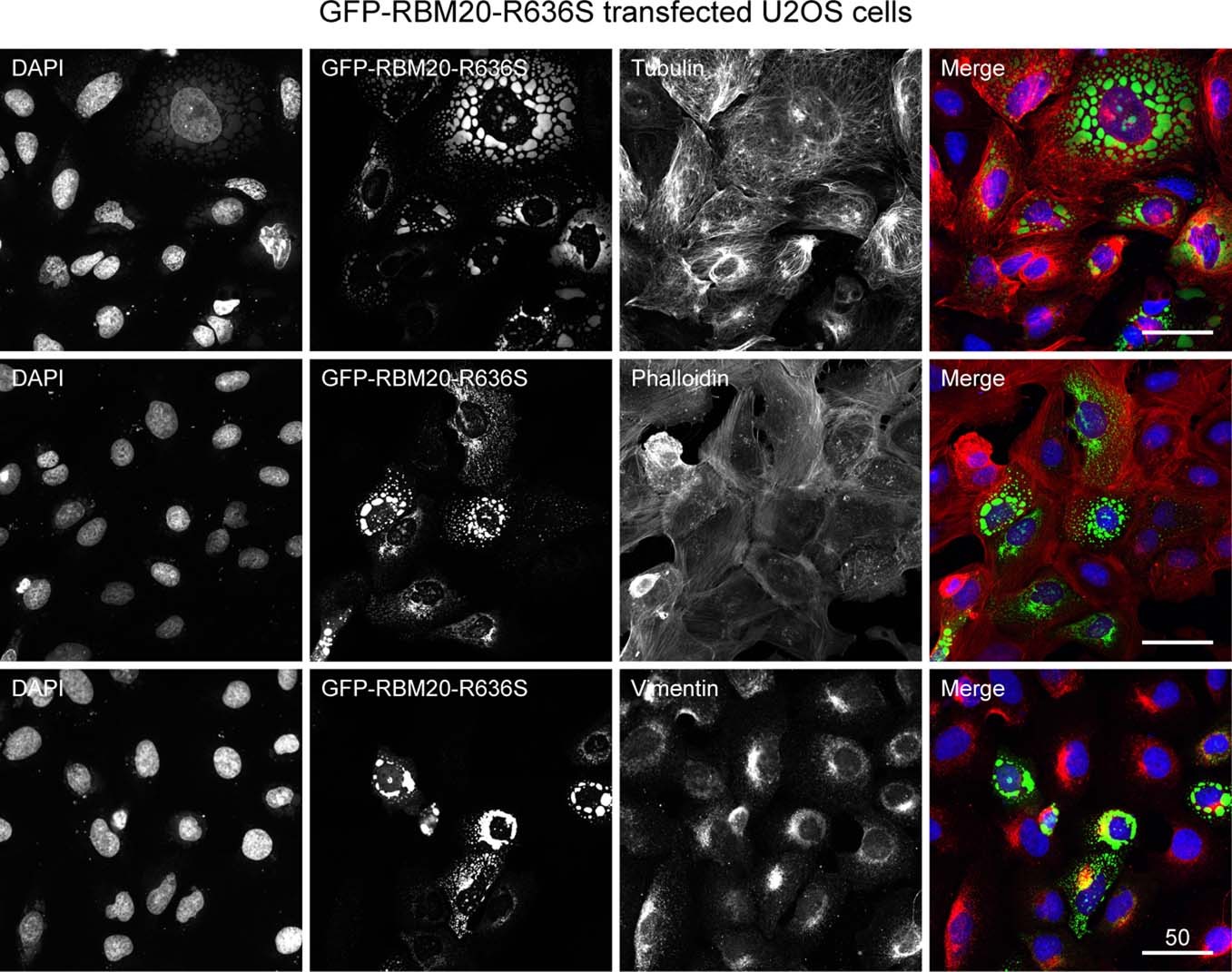 Extended Data Fig. 7