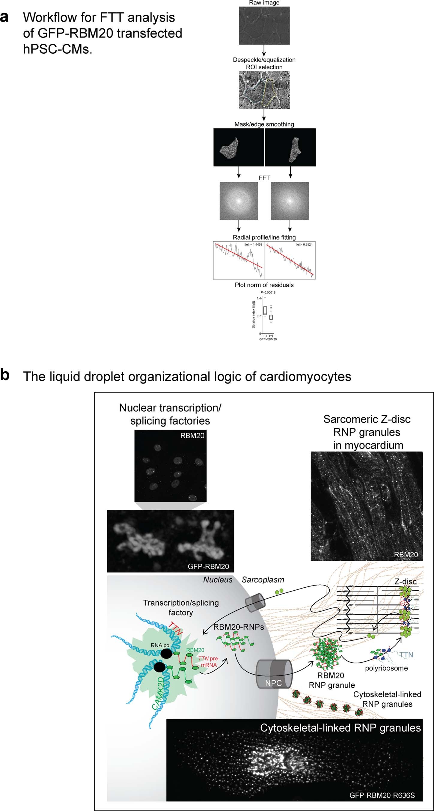Extended Data Fig. 10