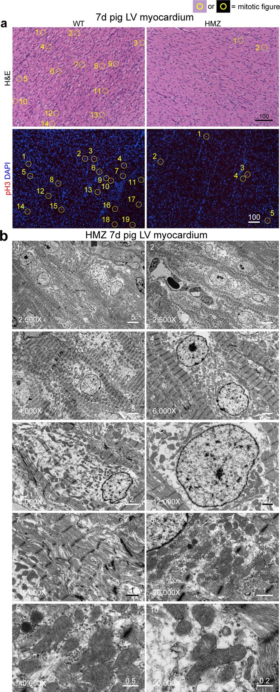 Extended Data Fig. 3