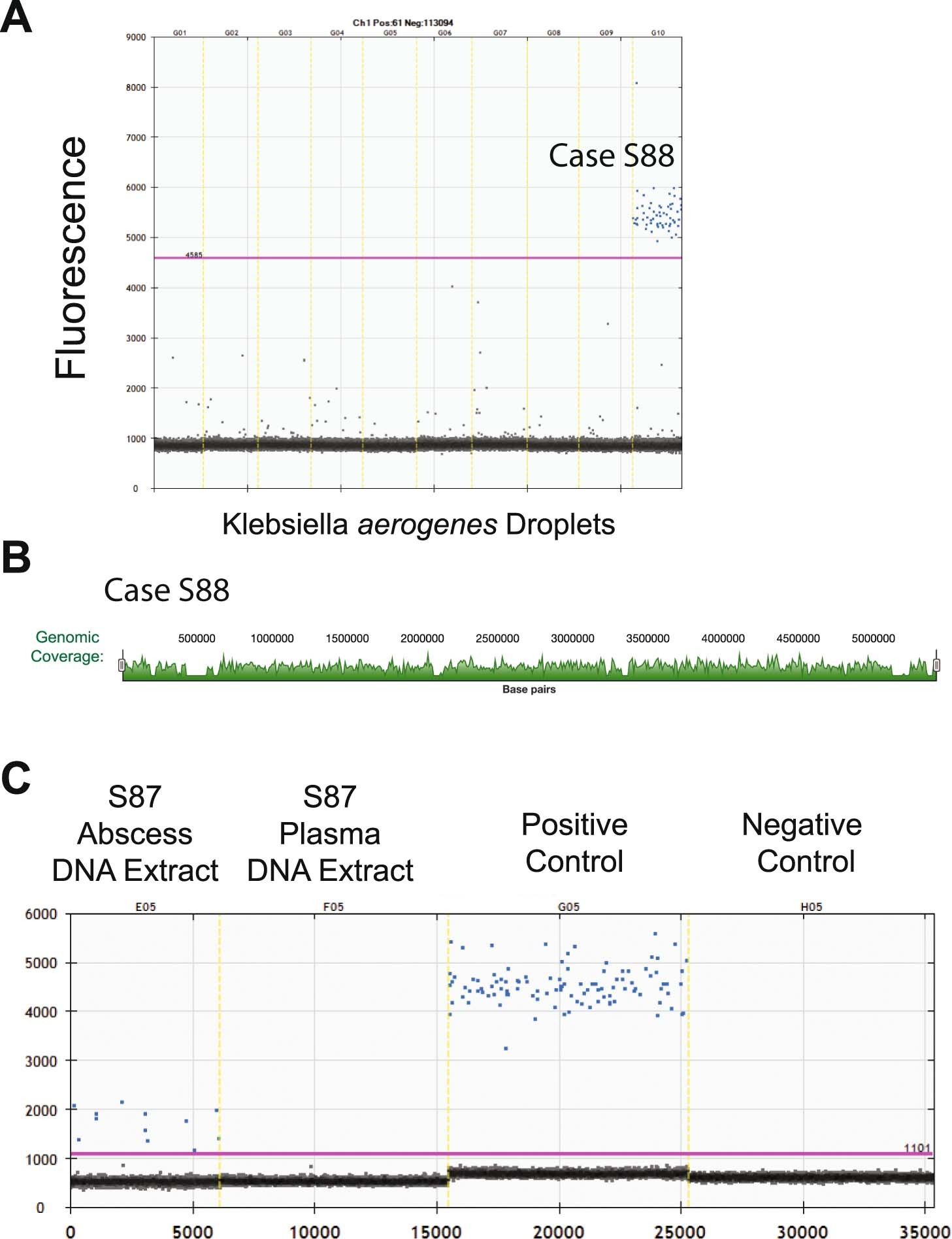Extended Data Fig. 5: Orthogonal testing for Cases S88: Klebsiella aerogenes from cerebrospinal fluid and S87: Bartonella henselae from a skin abscess.