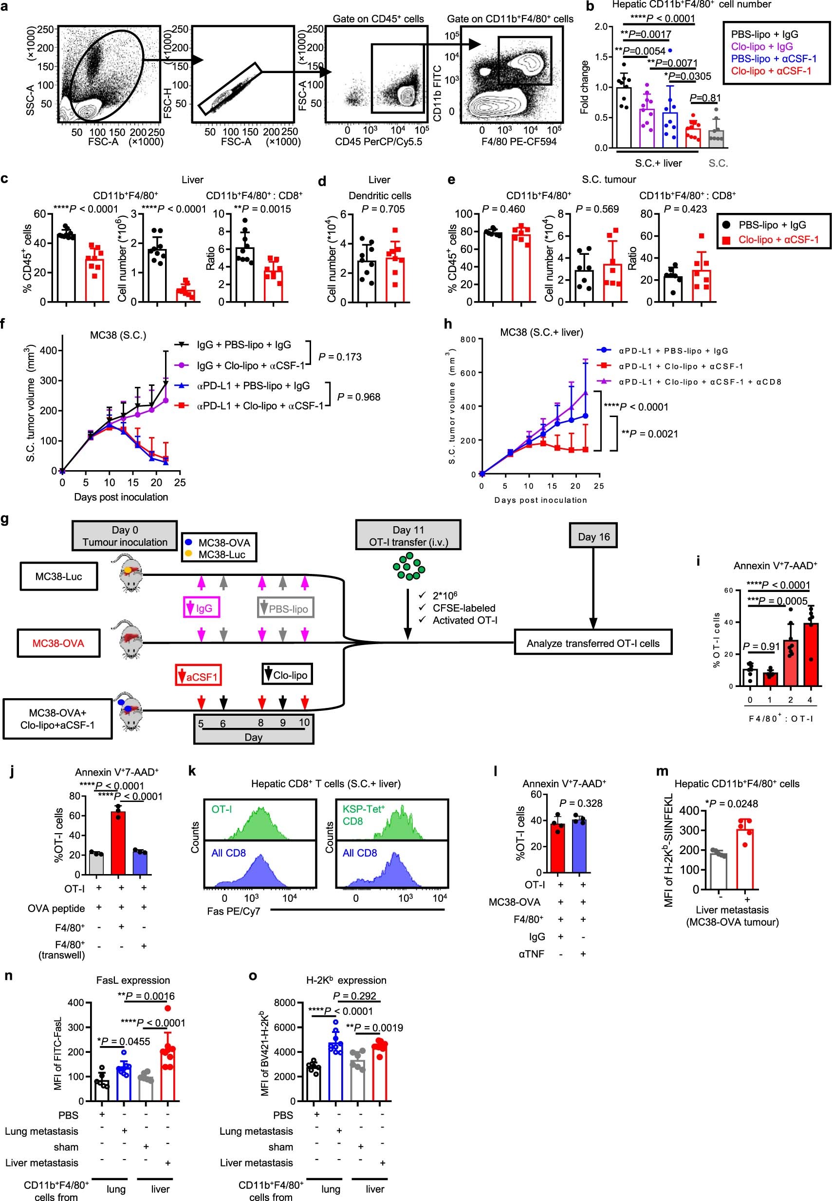 Extended Data Fig. 5: Hepatic myeloid cells induce activated T-cell apoptosis via the Fas/FasL pathway.