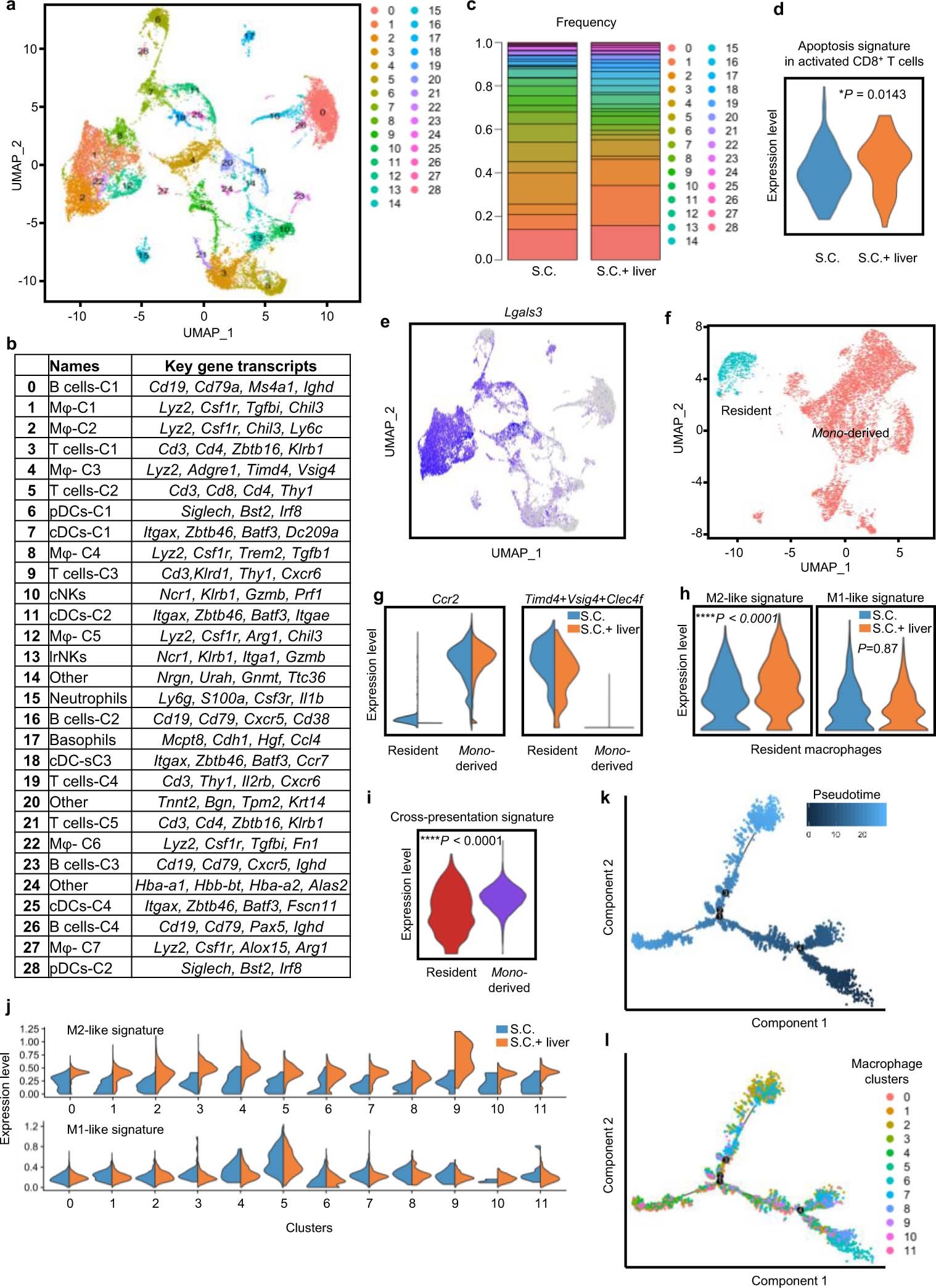 Extended Data Fig. 6: Liver metastasis alters the liver immune microenvironment.