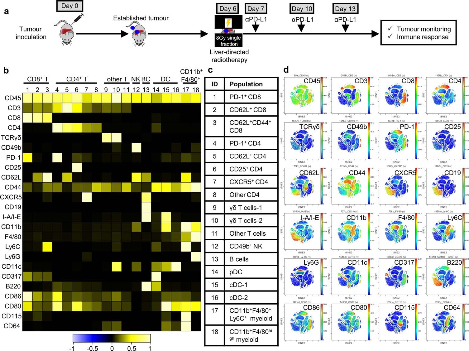 Extended Data Fig. 7: Extended CyTOF data analysis of liver immune cells after radiotherapy and immunotherapy.