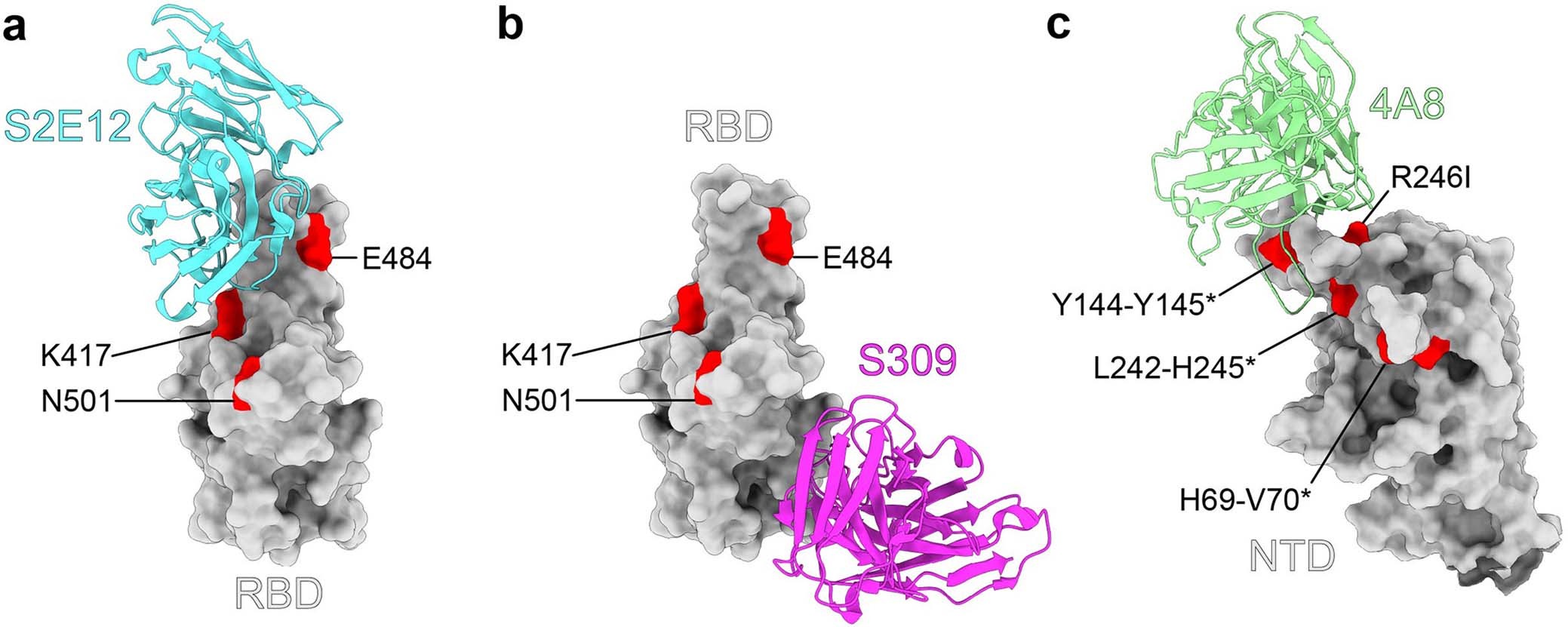 Extended Data Fig. 1: MAb-spike structures.
