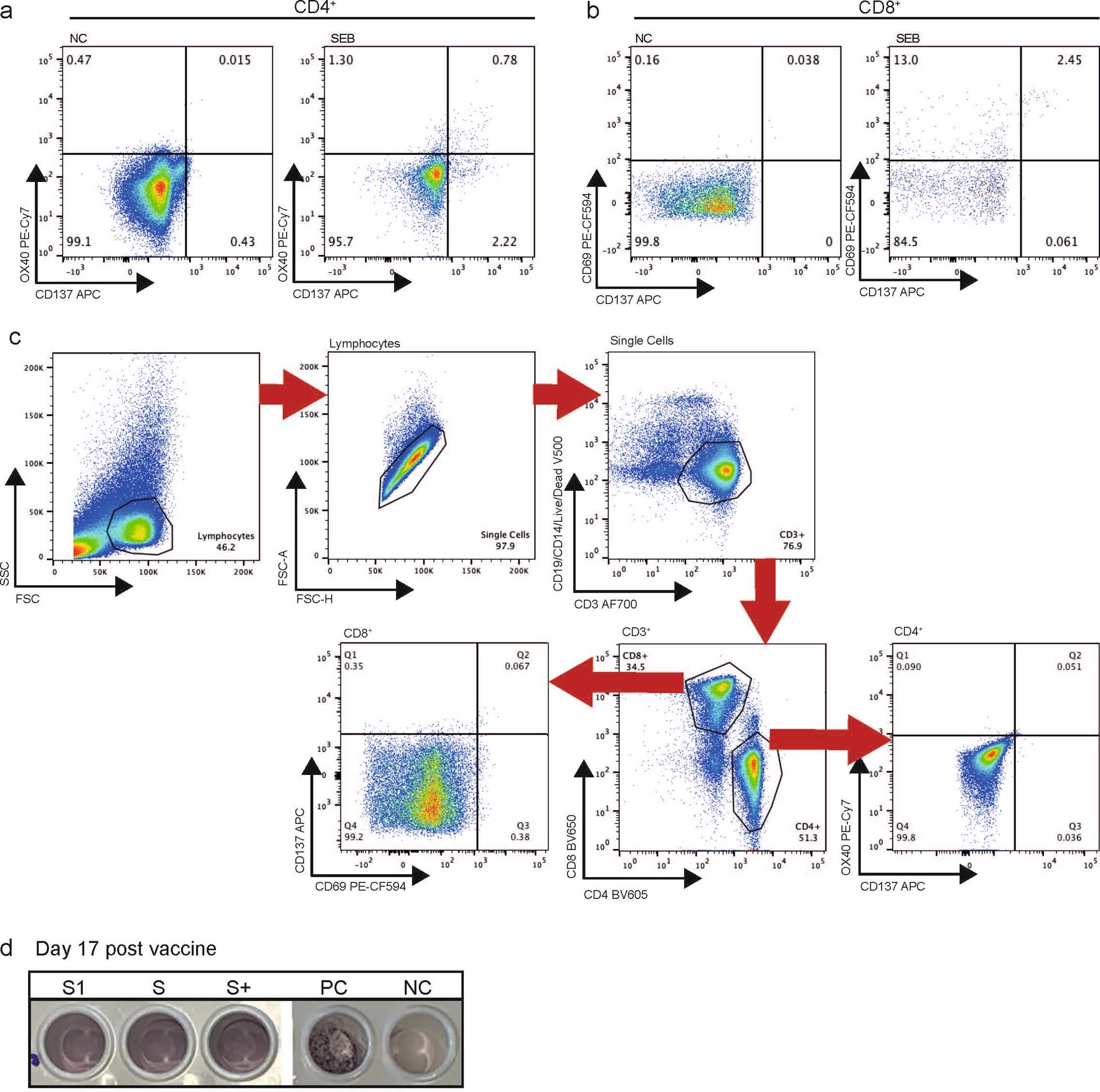 Extended Data Fig. 1: Gating strategy for T-cell assay.