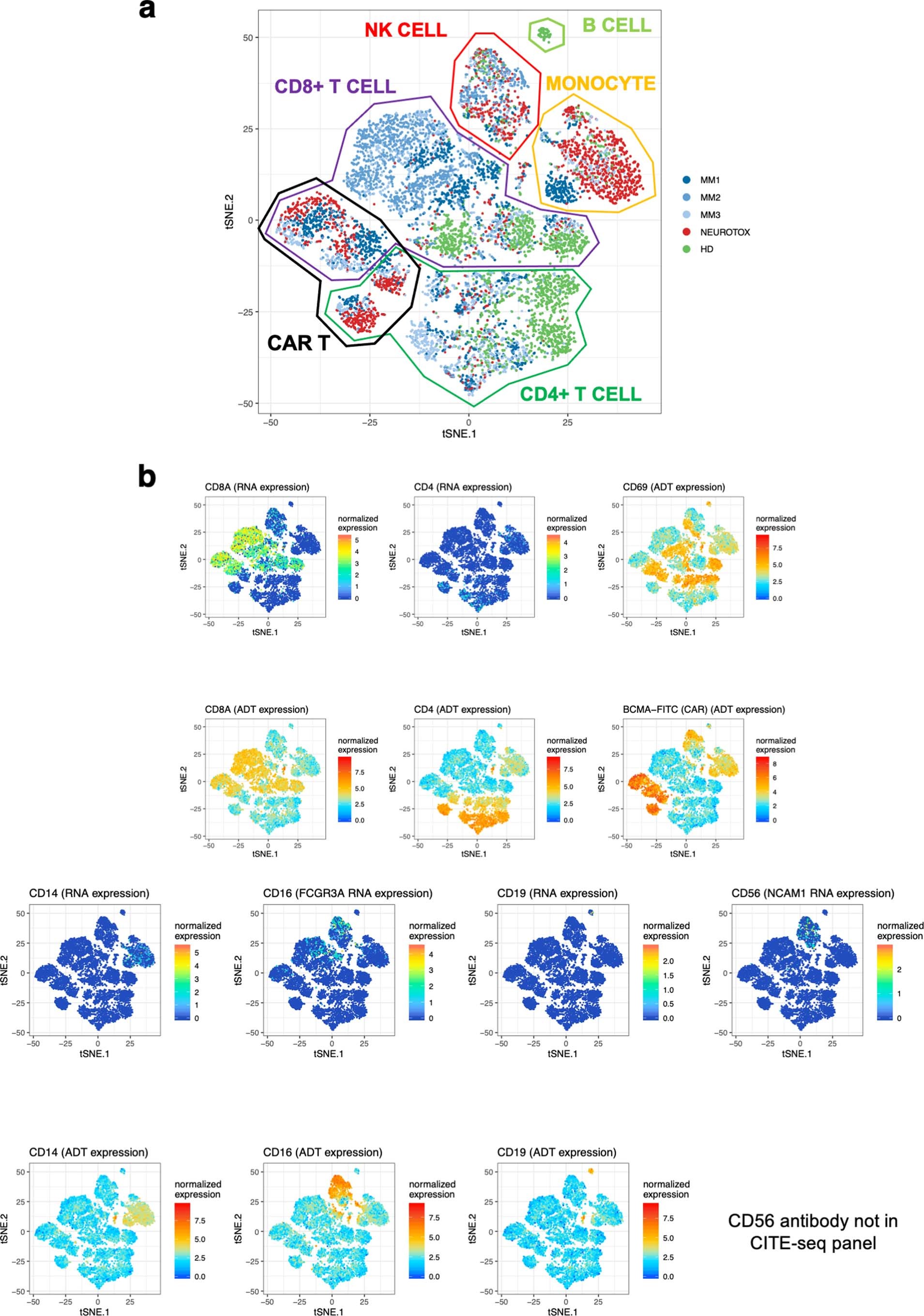 Extended Data Fig. 7: Expression of canonical markers on CITE-seq data identifies and clusters major immune cell types.