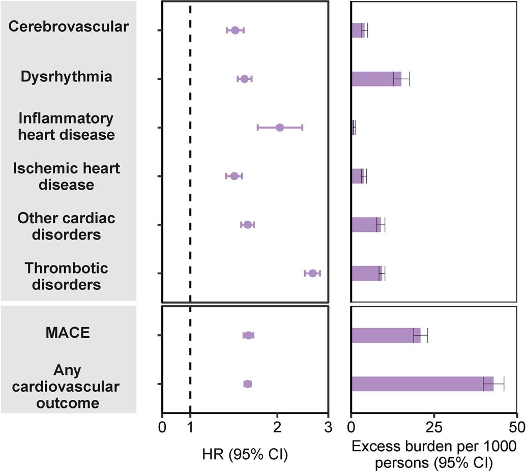 Extended Data Fig. 8: Risks and 12-month burdens of incident post-acute COVID-19 composite cardiovascular outcomes in participants without any history of cardiovascular outcomes prior to COVID-19 exposure compared to the historical control cohort.