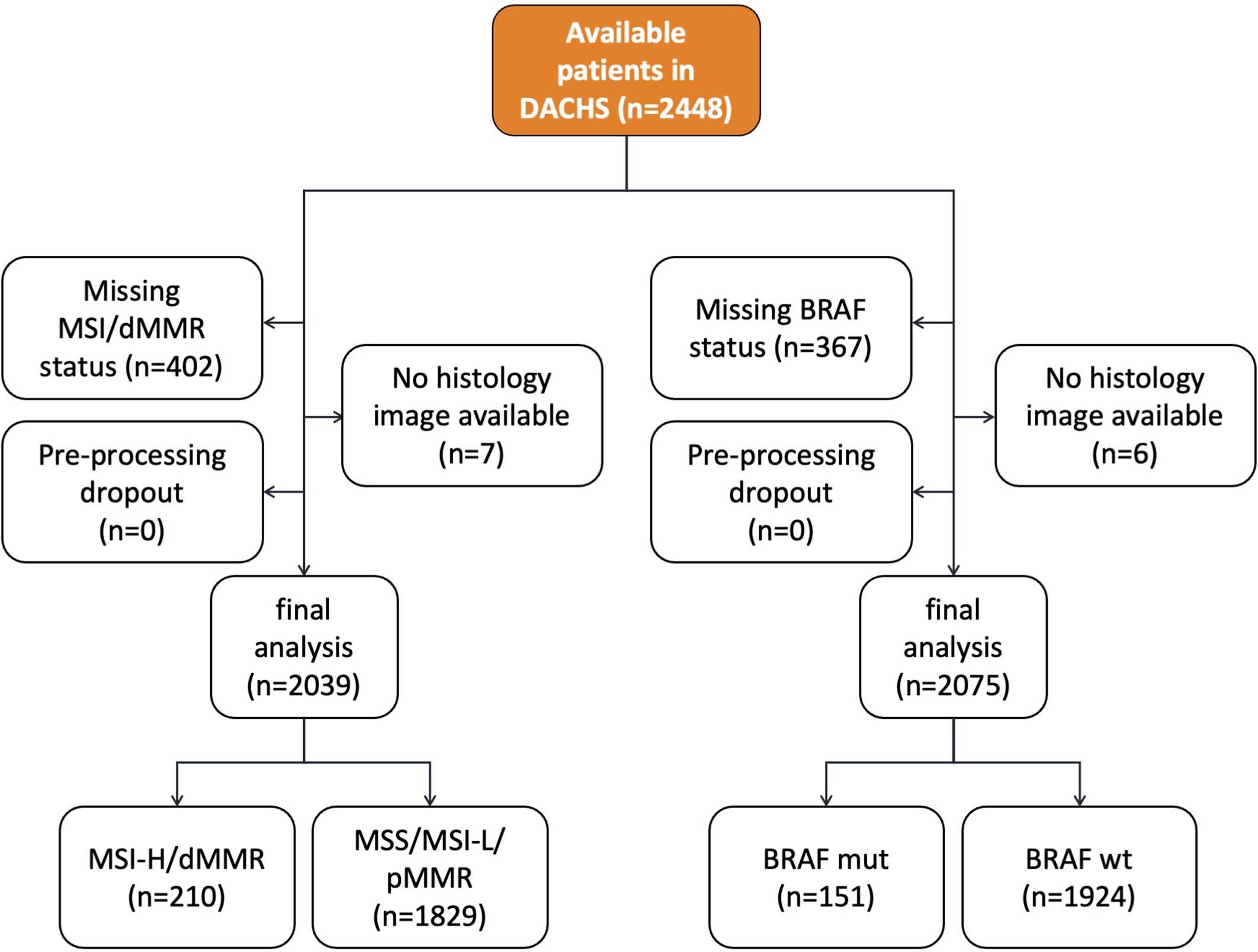 Extended Data Fig. 3: CONSORT chart for DACHS.