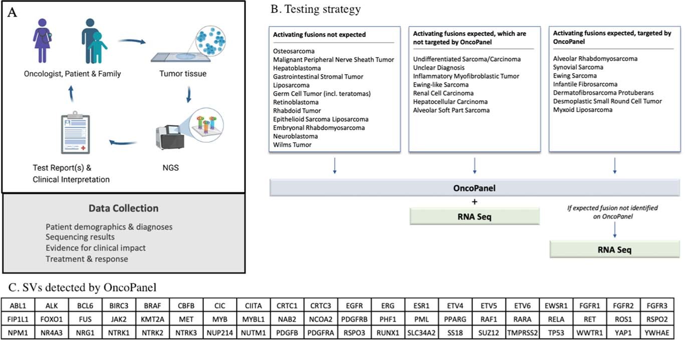 Extended Data Fig. 9: Overview of the iCat2/GAIN Study.