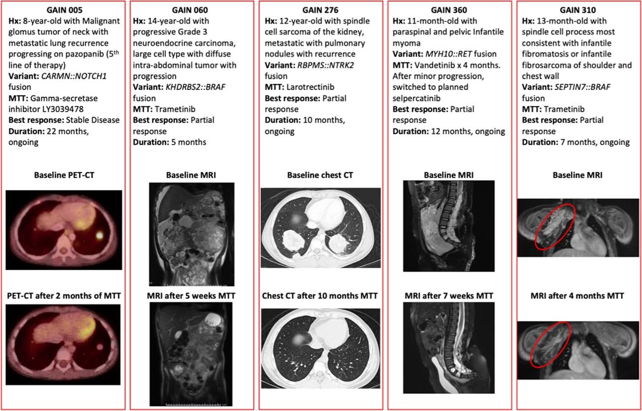 Extended Data Fig. 5: Responders to Matched Targeted Therapy.