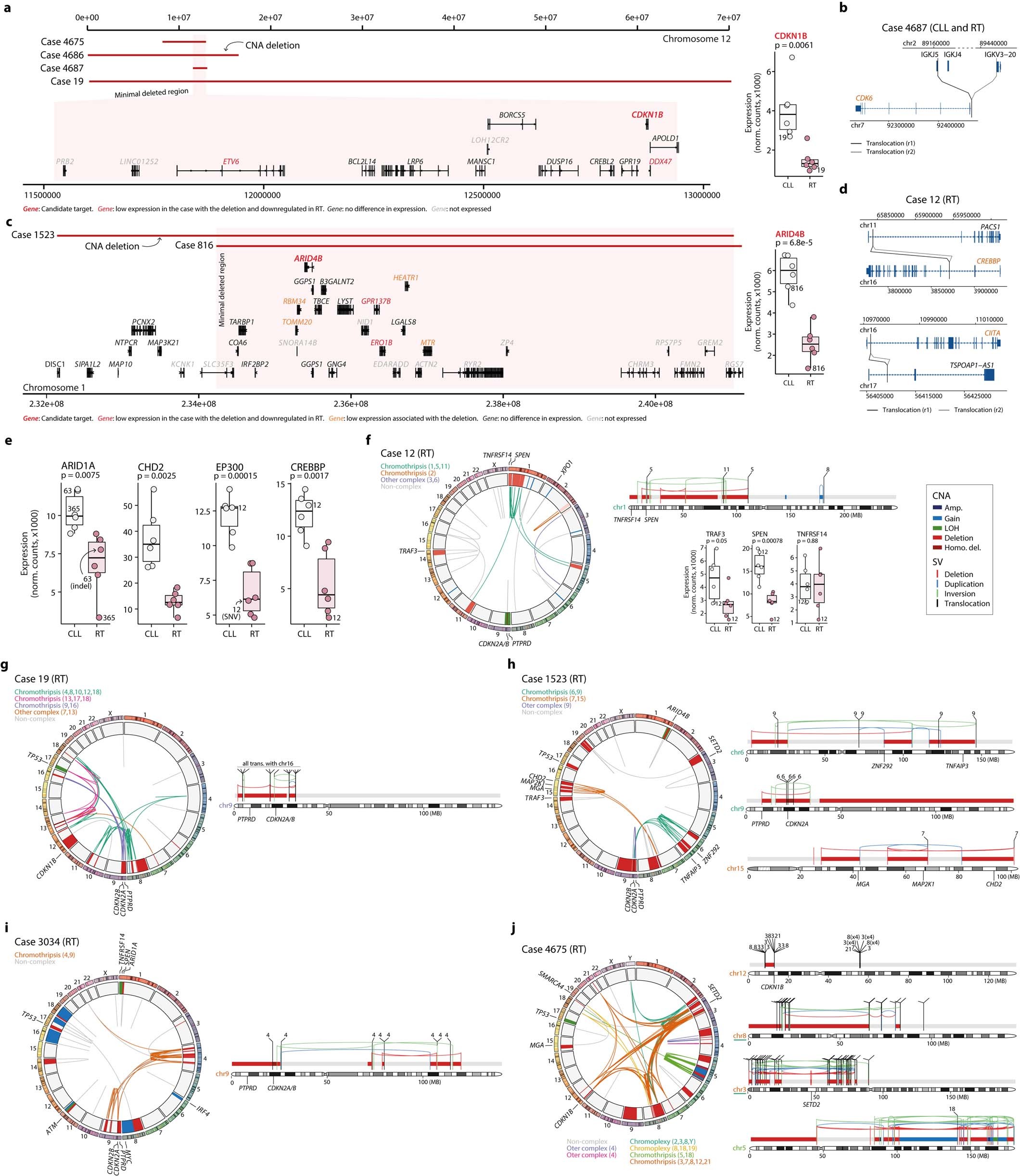 Extended Data Fig. 3: Complex genomic rearrangements affecting driver genes.