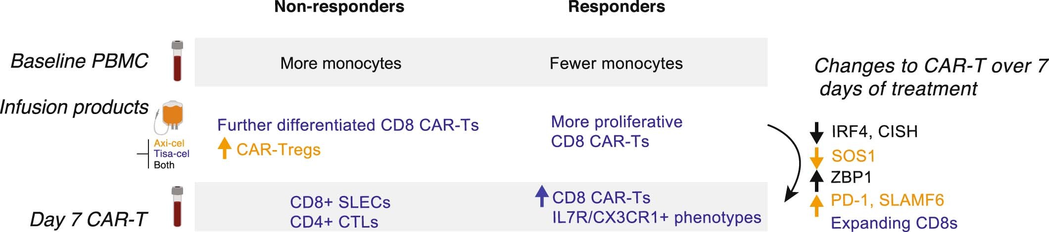 Extended Data Fig. 10: Summary of cellular and transcriptomic changes associated with clinical outcome and timepoint.