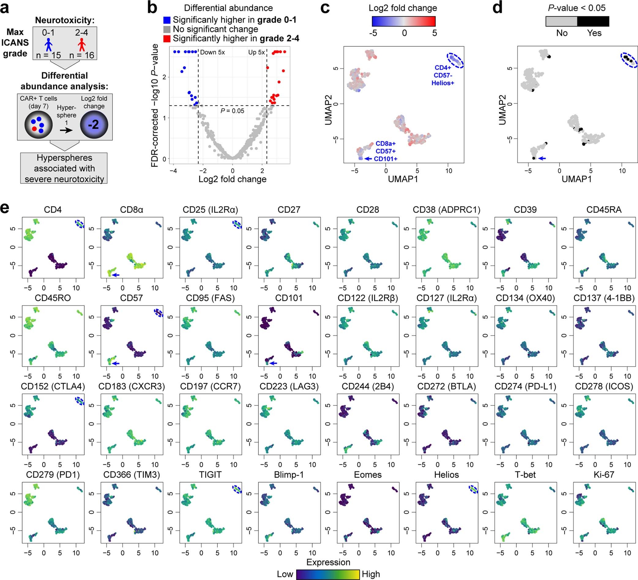 Extended Data Fig. 4: CAR T cell hyperspheres associated with severe neurotoxicity.
