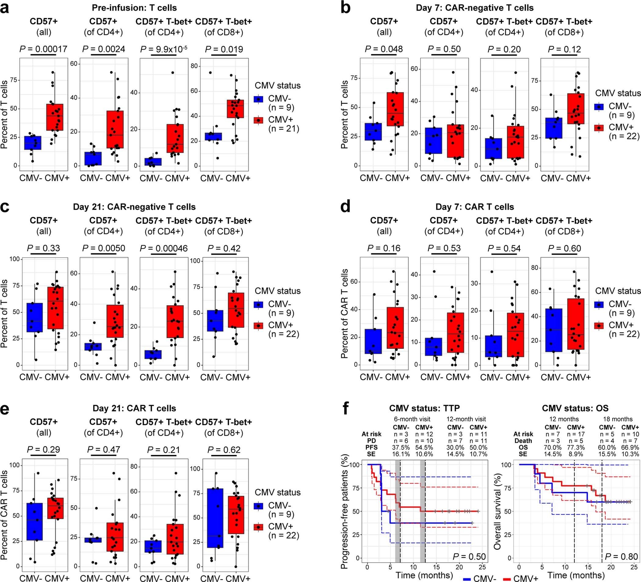 Extended Data Fig. 6: CMV status is not associated with prevalence of CD57-expressing CAR T cell populations or patient outcome.