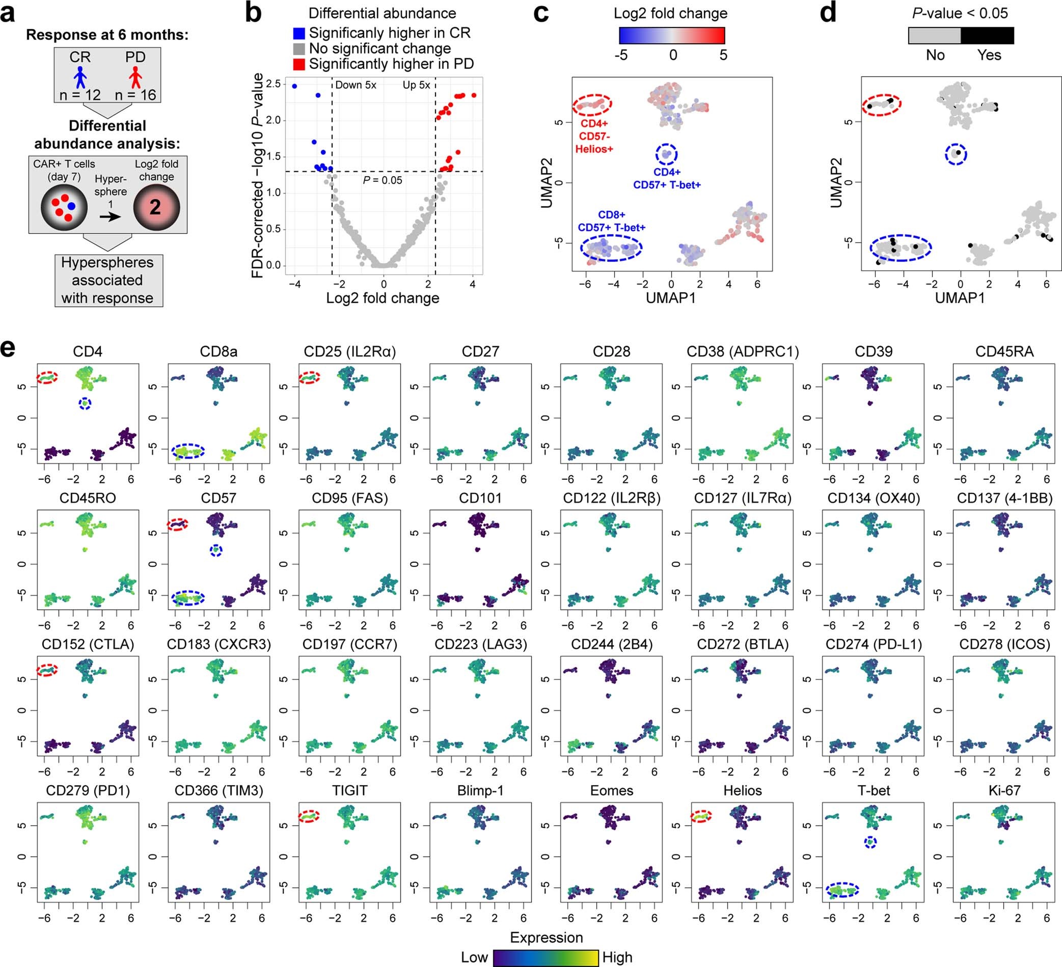Extended Data Fig. 3: CAR T cell hyperspheres associated with clinical response at 6 months.