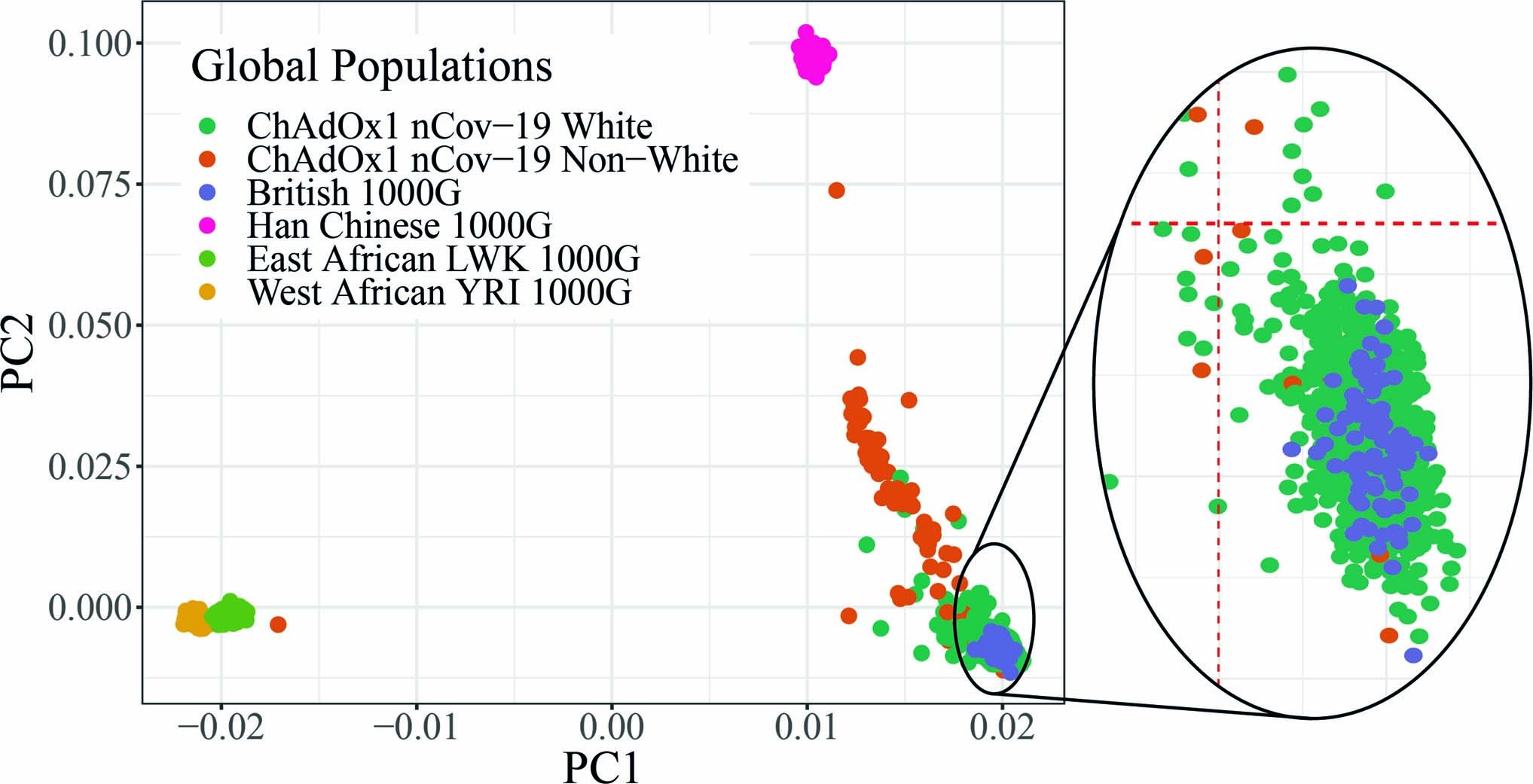 Extended Data Fig. 2: Principal components of genotyped individuals from COV001 and COV002 alongside individuals from 1000 Genomes (1000 G) European, Asian and African populations.