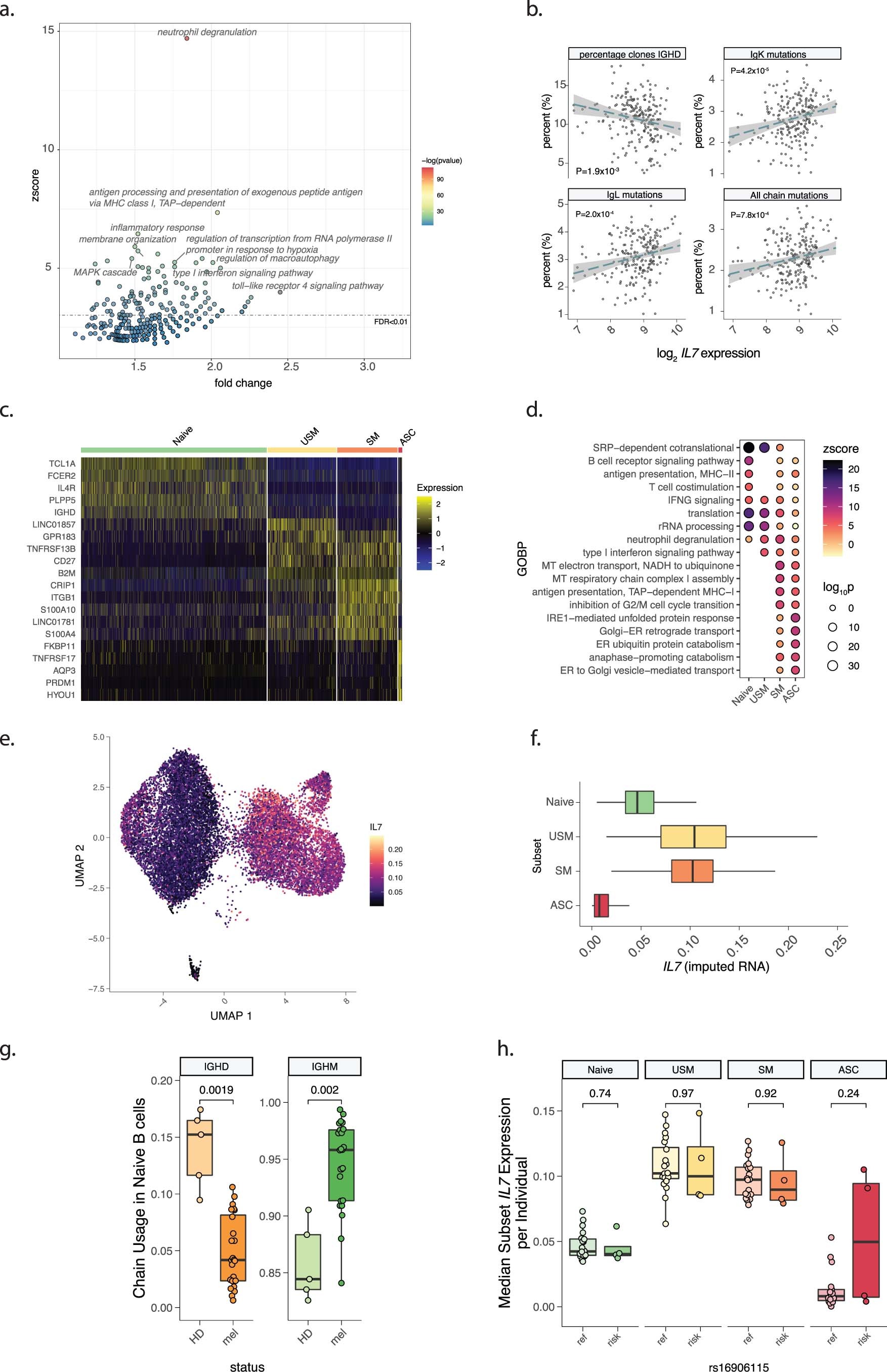 Extended Data Fig. 3: B cell correlates of IL7 expression.