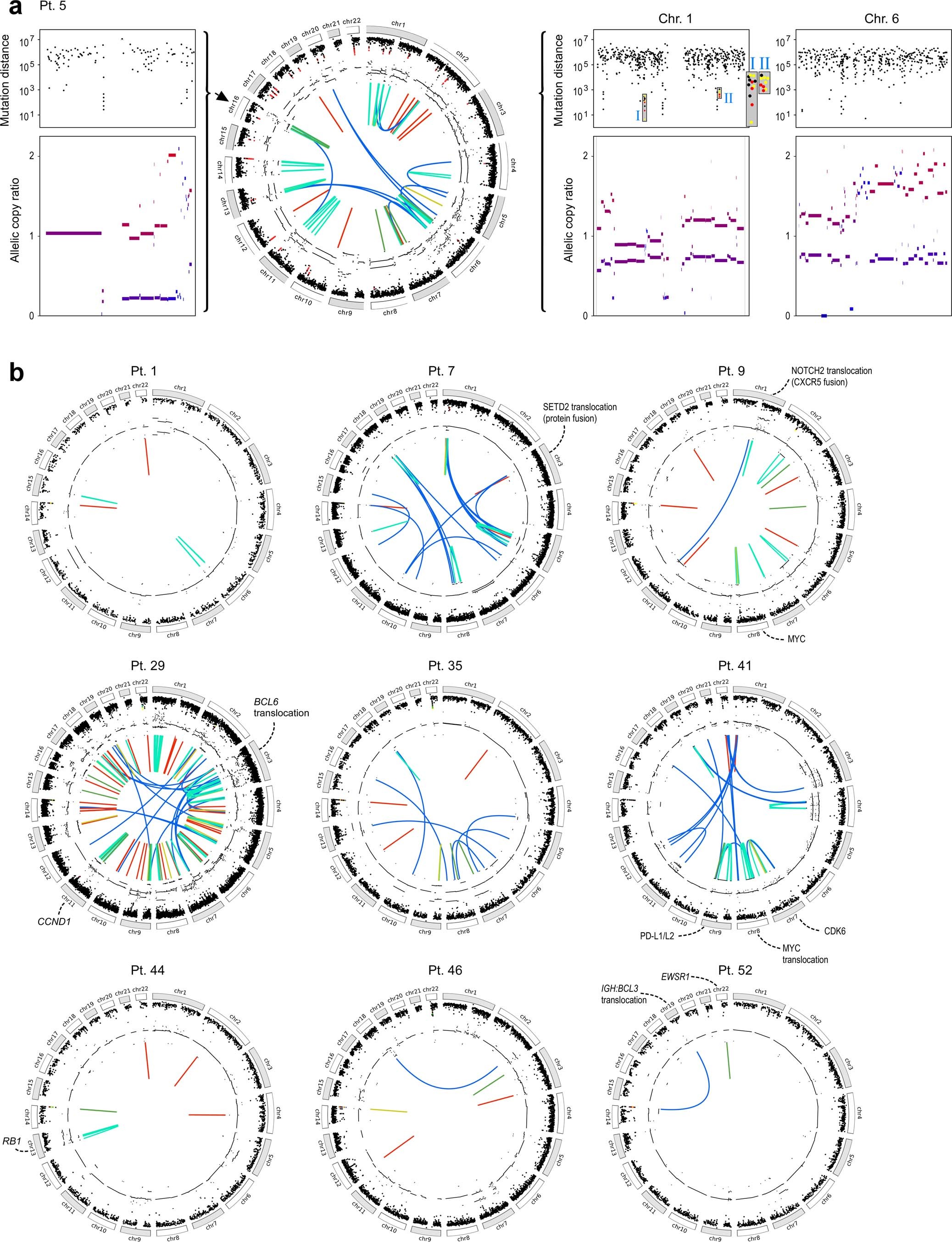 Extended Data Fig. 8: WGS Circos plots with or without chromothripsis.
