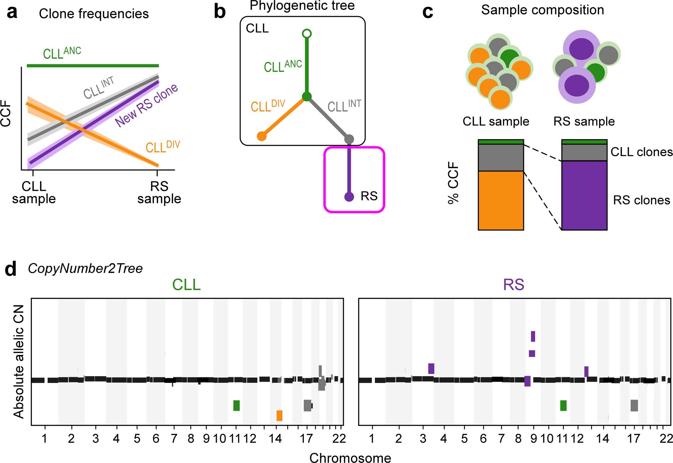 Extended Data Fig. 1: Clonal deconvolution process.