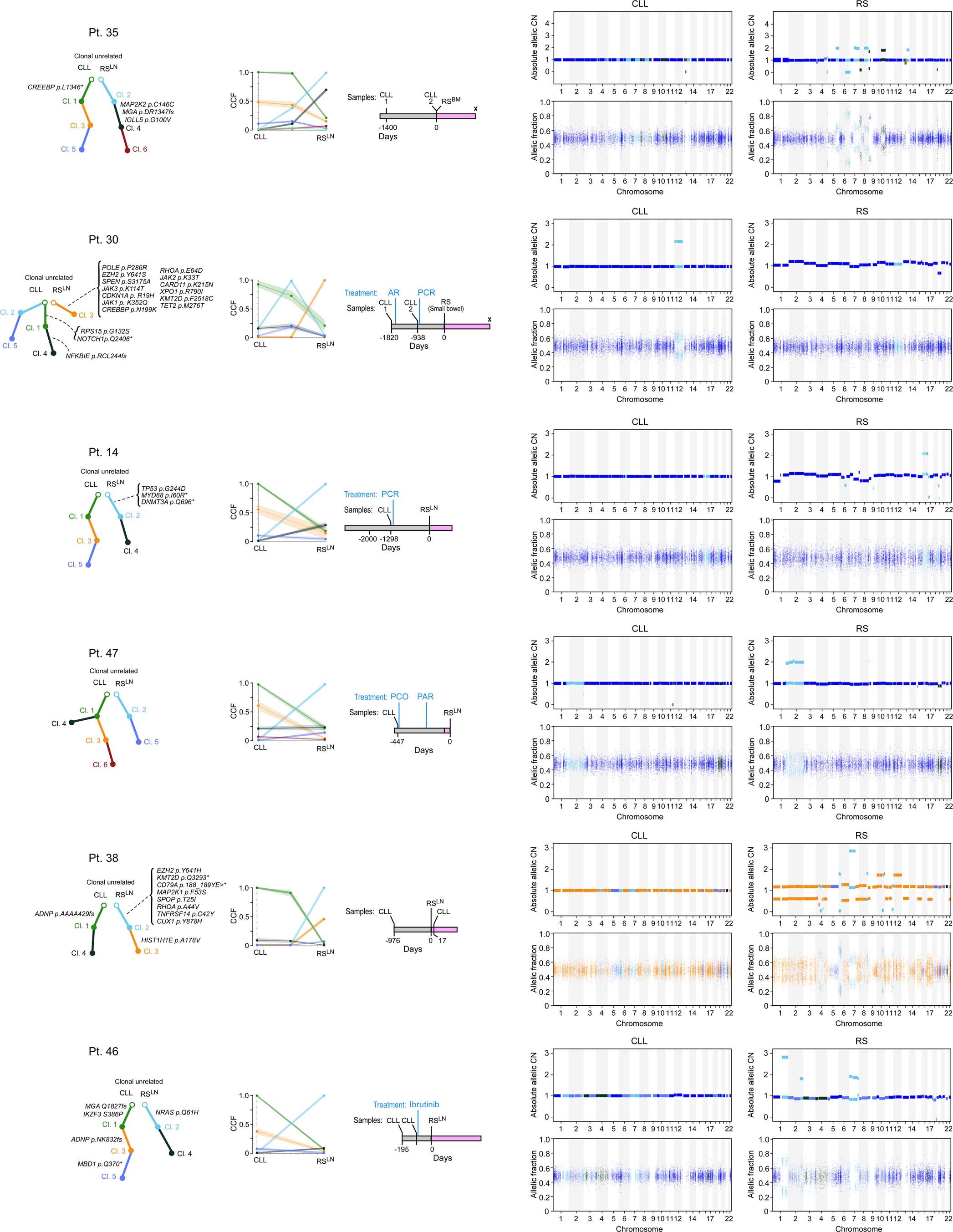 Extended Data Fig. 3: Phylogenetic reconstruction and somatic genomic alterations.