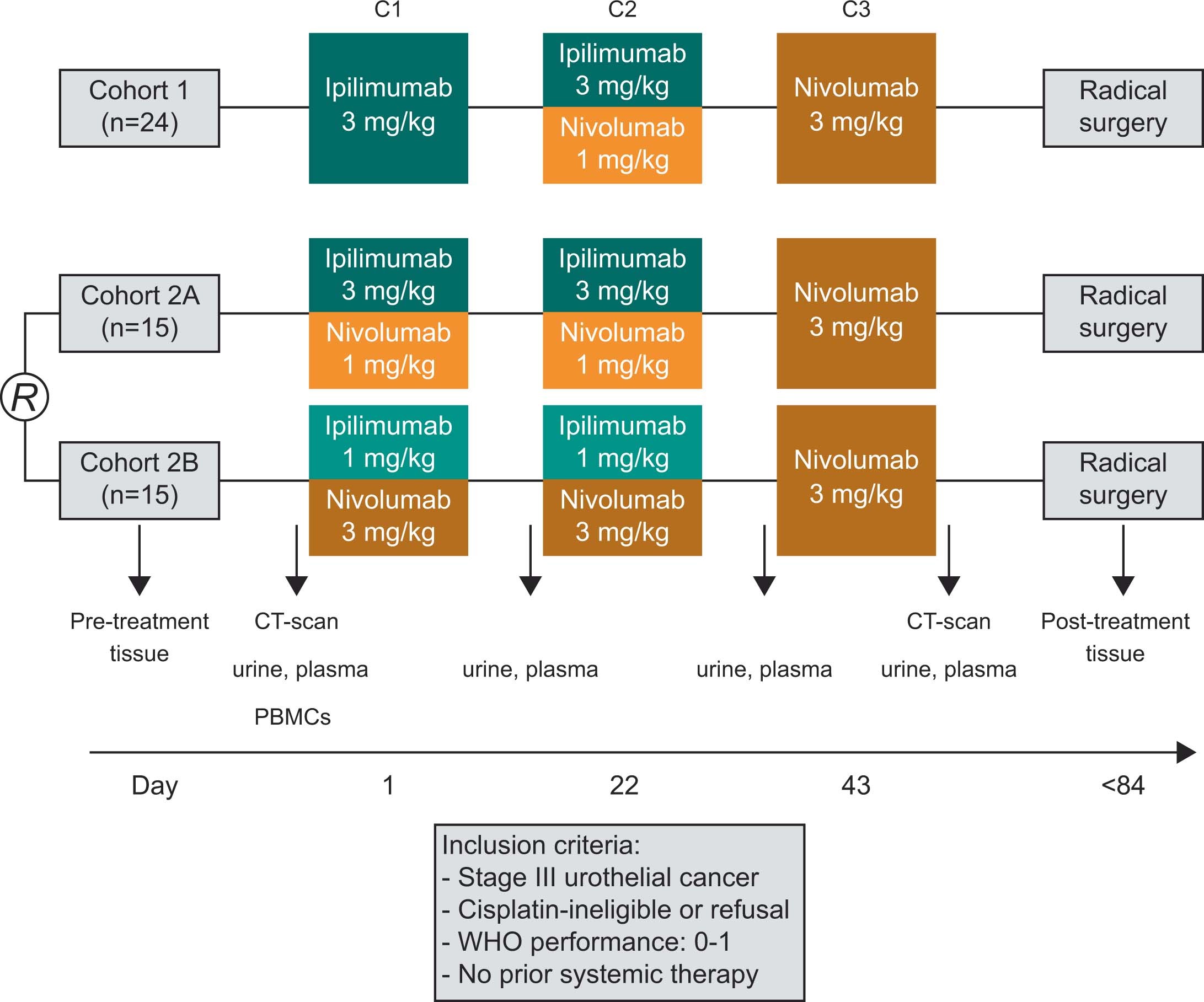 Extended Data Fig. 1